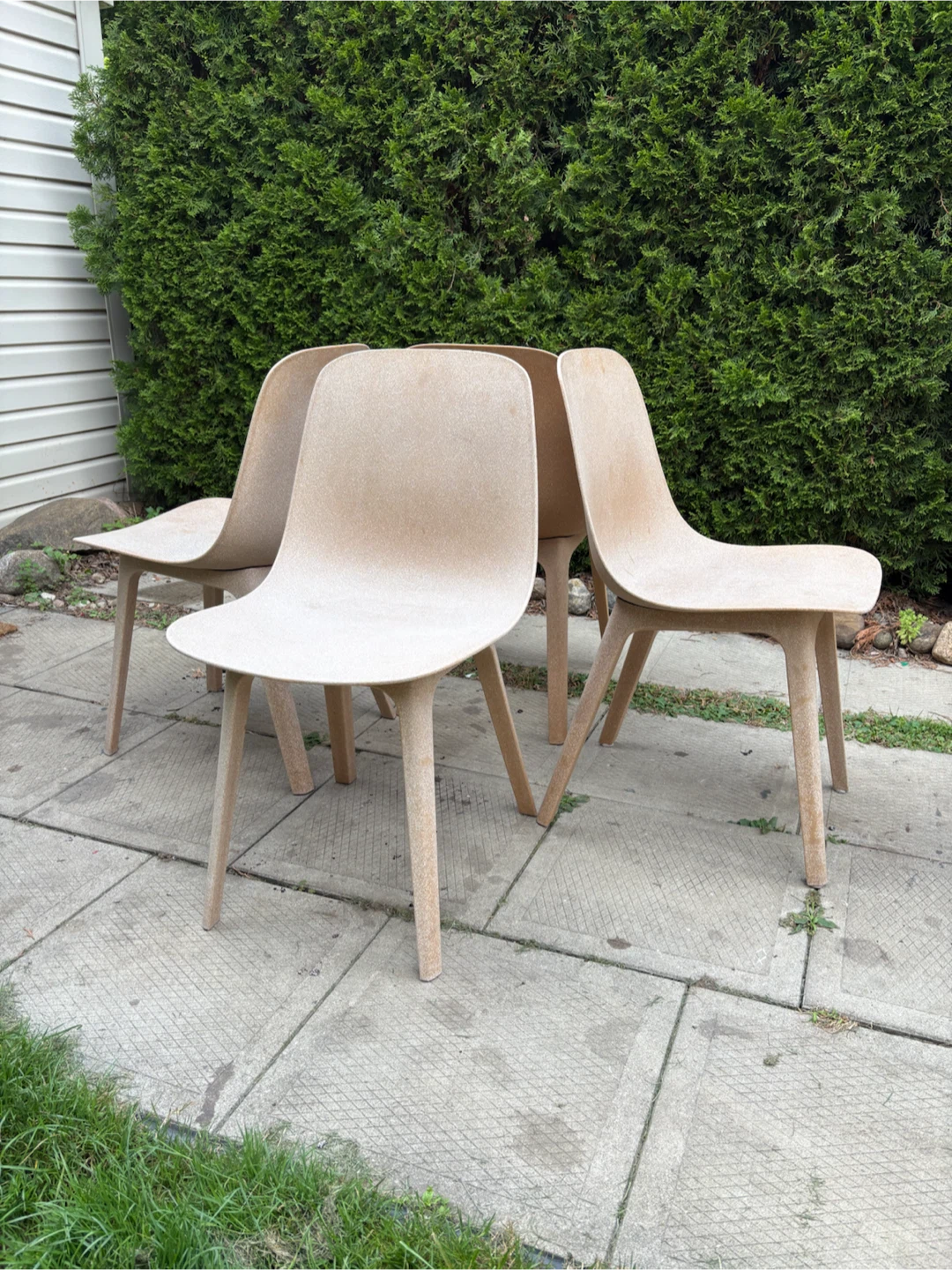 IKEA Odgar Dining Chairs - photo 5
