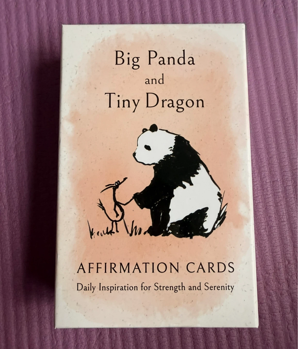 NEW✨Big Panda and Tiny Dragon Affirmation Cards with Pouch