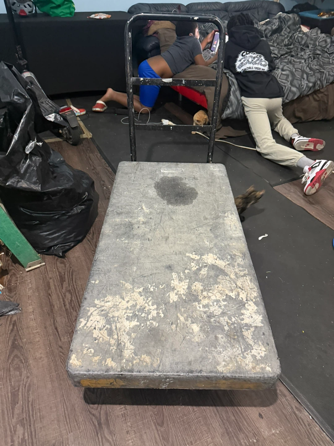 Genie Lift Material Lift