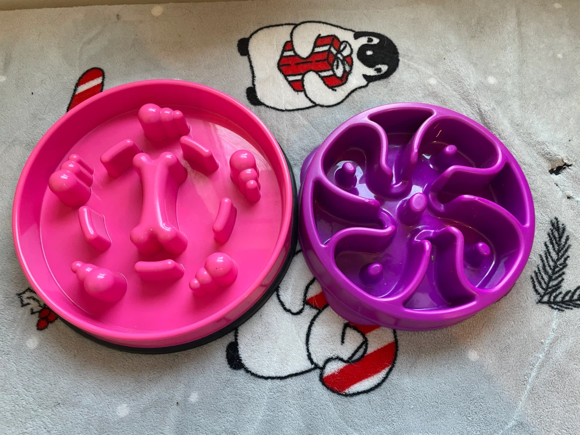 Dog Slow Feeder Bowls (Kong & Outward Hound)