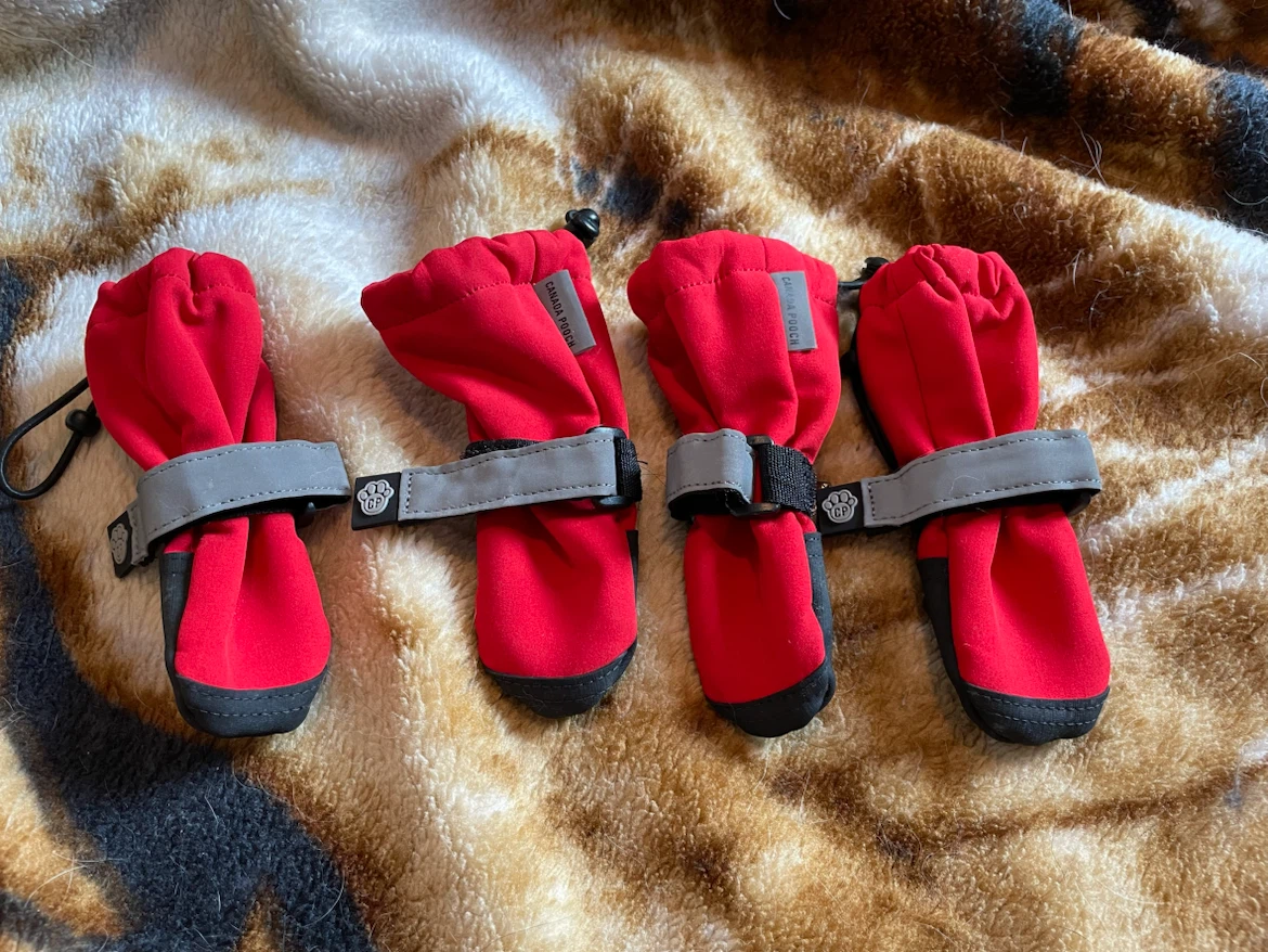 Size 1 Canada Pooch Dog Boots (XS)