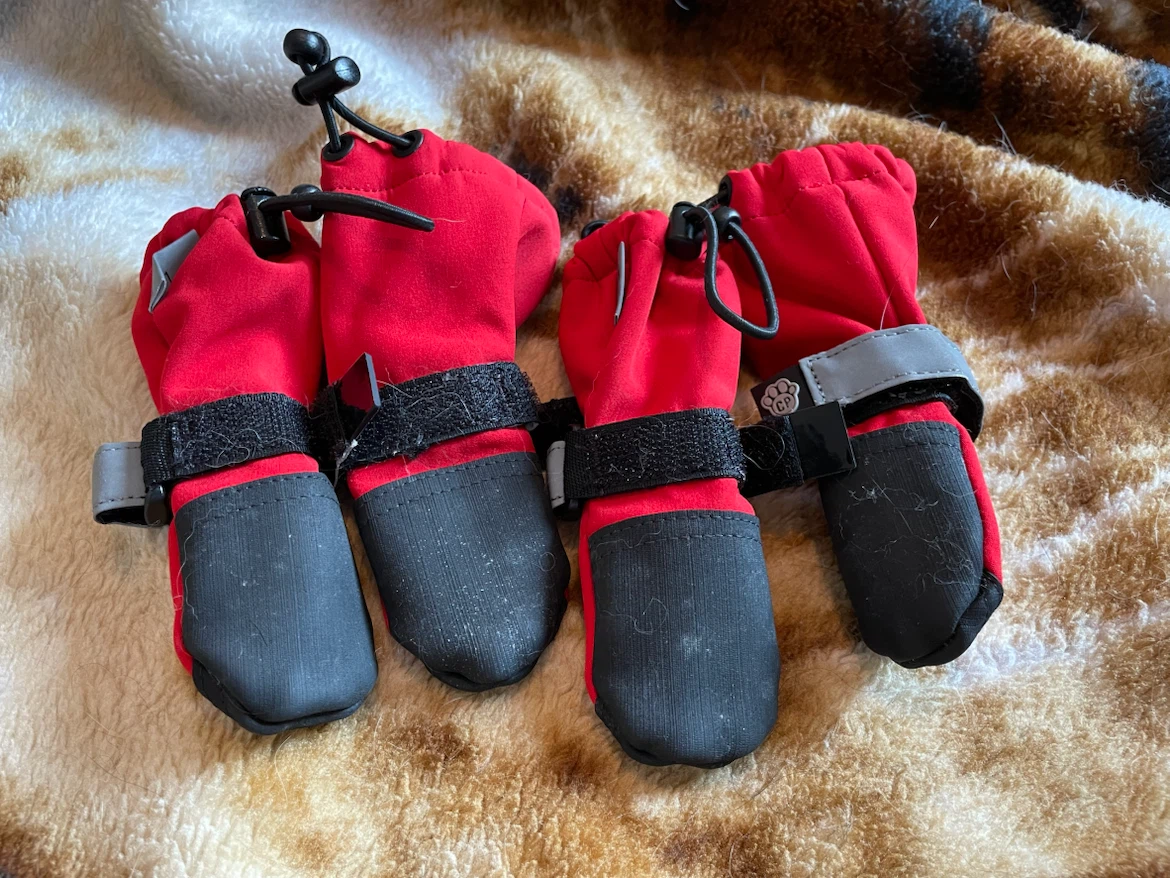 Size 1 Canada Pooch Dog Boots (XS) - photo 2
