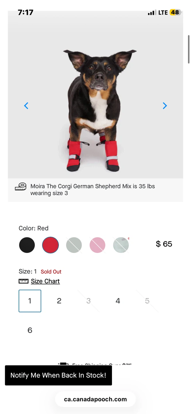 Size 1 Canada Pooch Dog Boots (XS) - photo 4