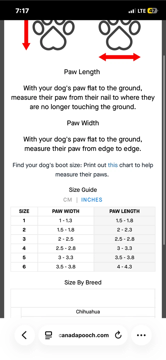 Size 1 Canada Pooch Dog Boots (XS) - photo 5