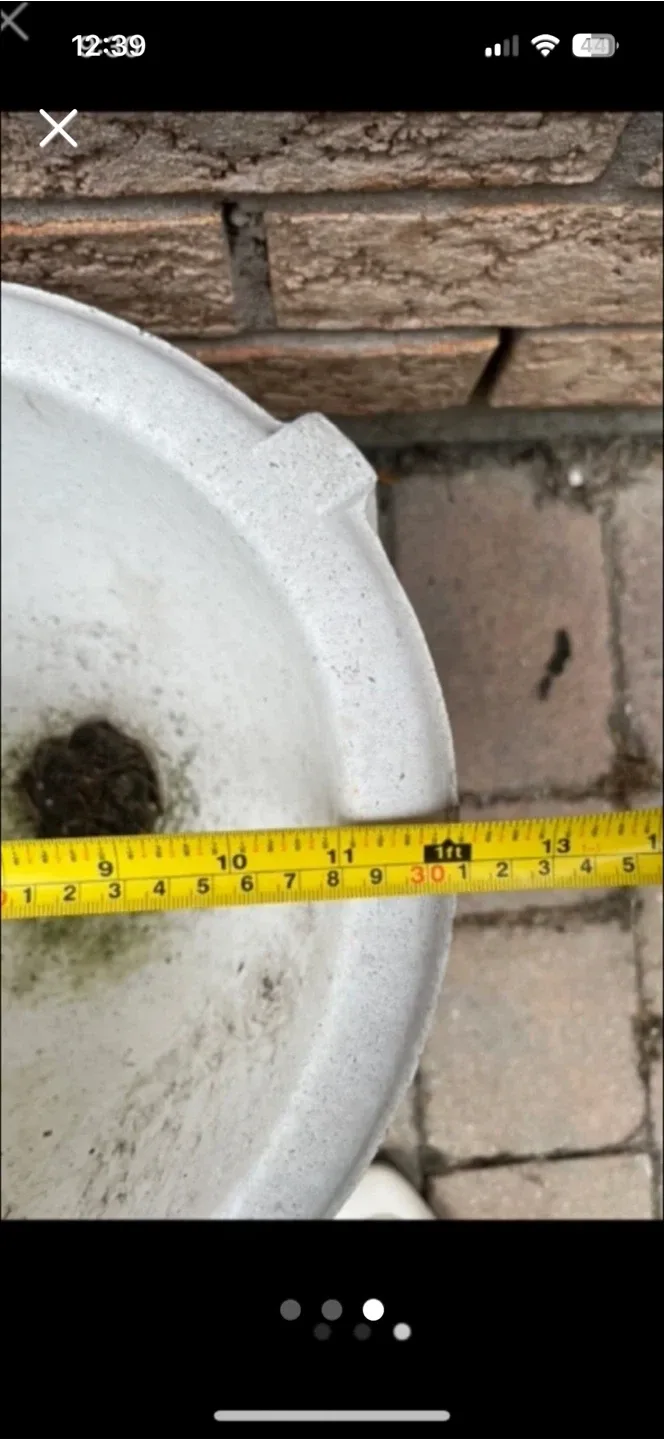 White Grecian Style Concrete Planter Urn - photo 3