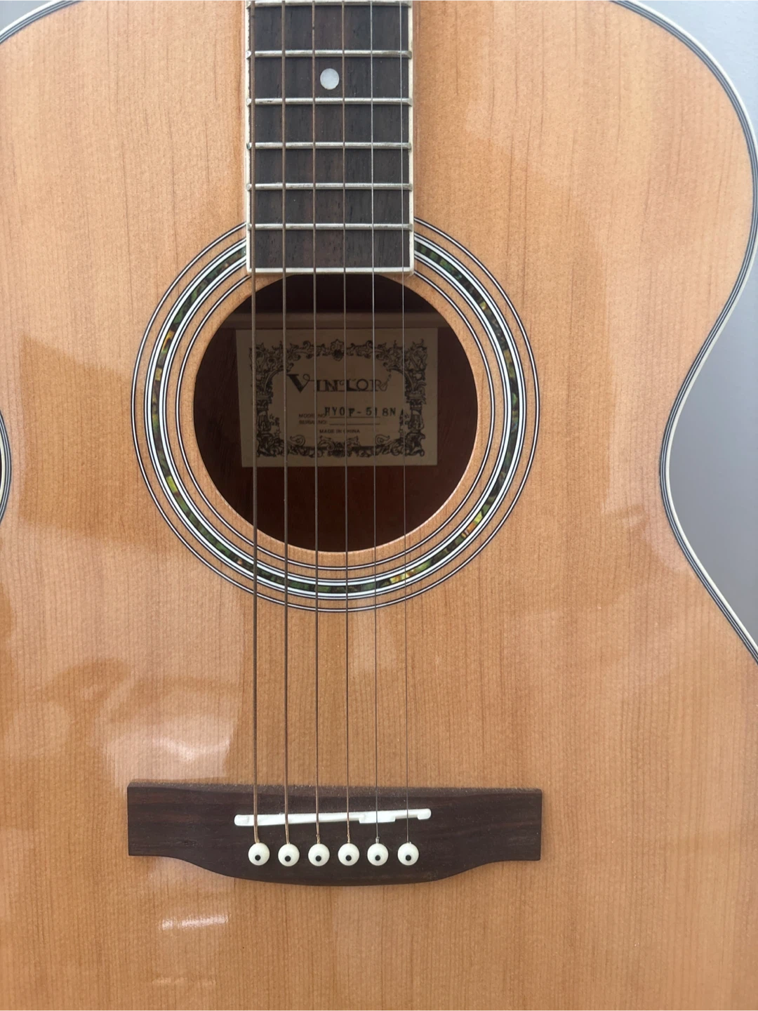 Vintor Acoustic Guitar & Corona soft padded case - photo 4