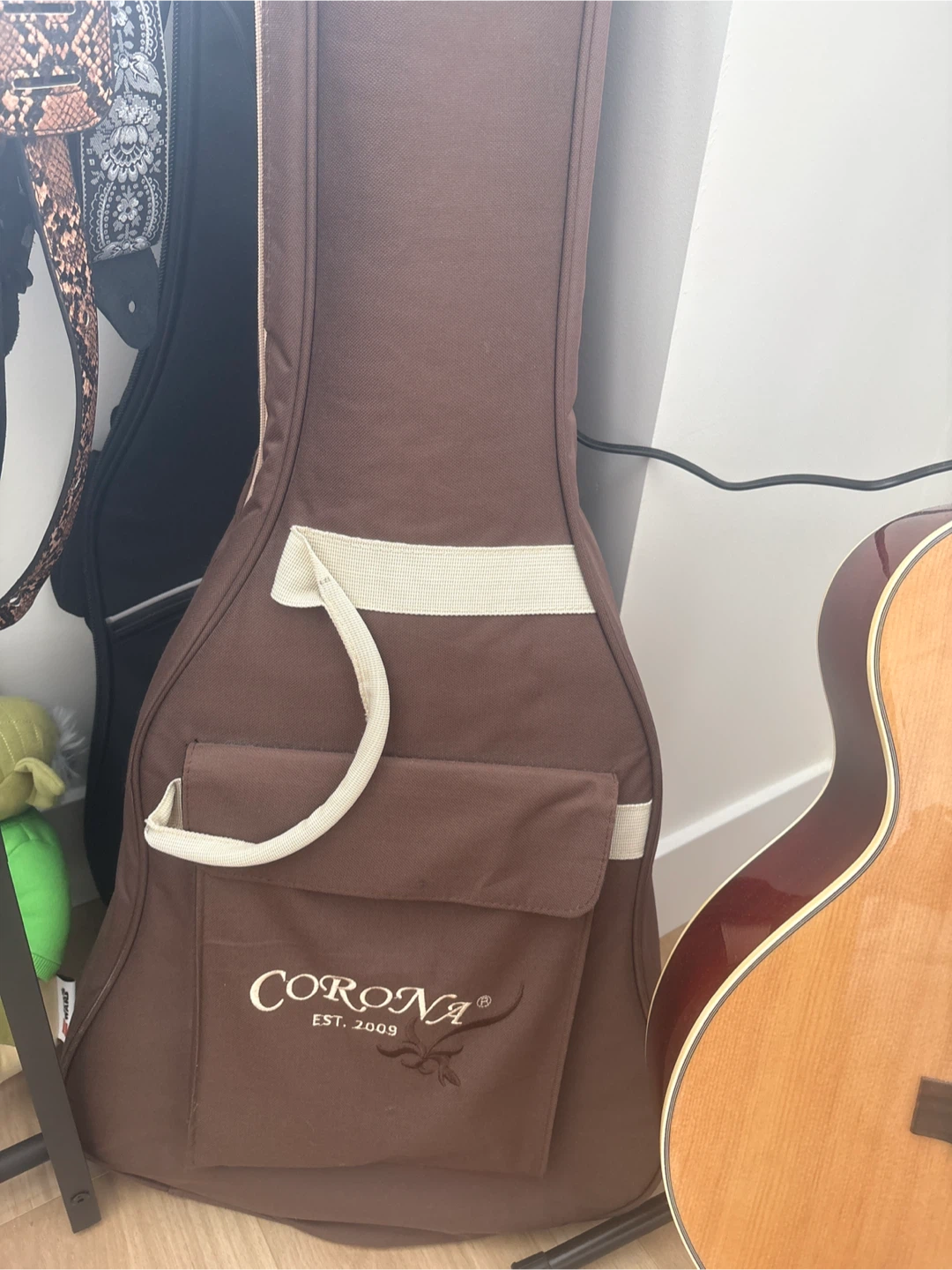 Vintor Acoustic Guitar & Corona soft padded case - photo 5