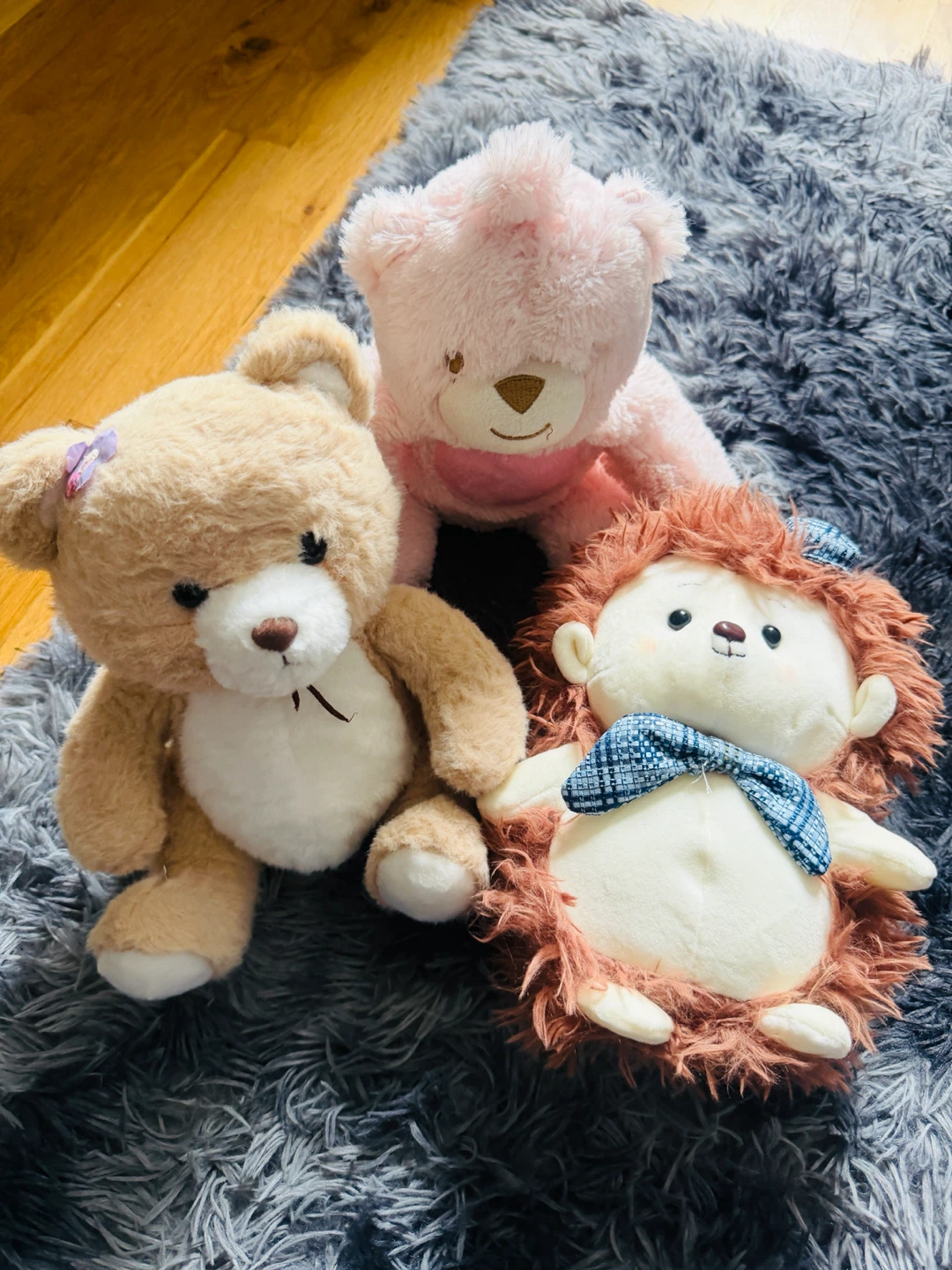 Plush Teddy Bears and Hedgehog Toy Set