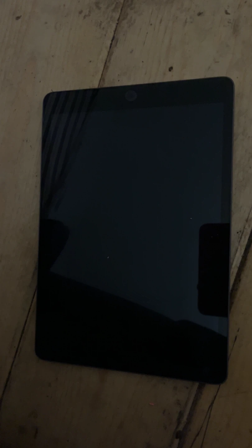 Black Apple iPad Mini