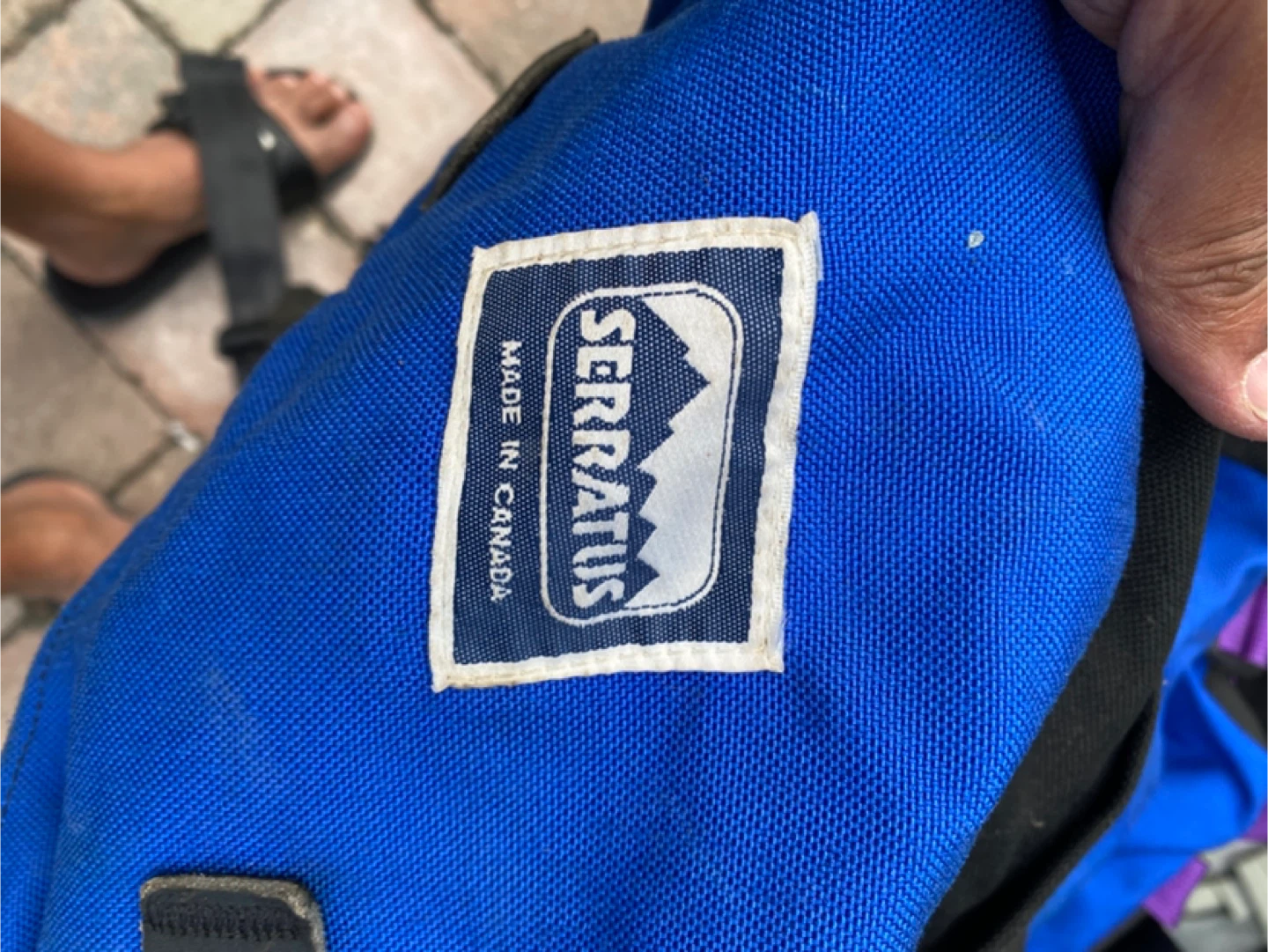 Serratus Blue and Purple Hiking Backpack