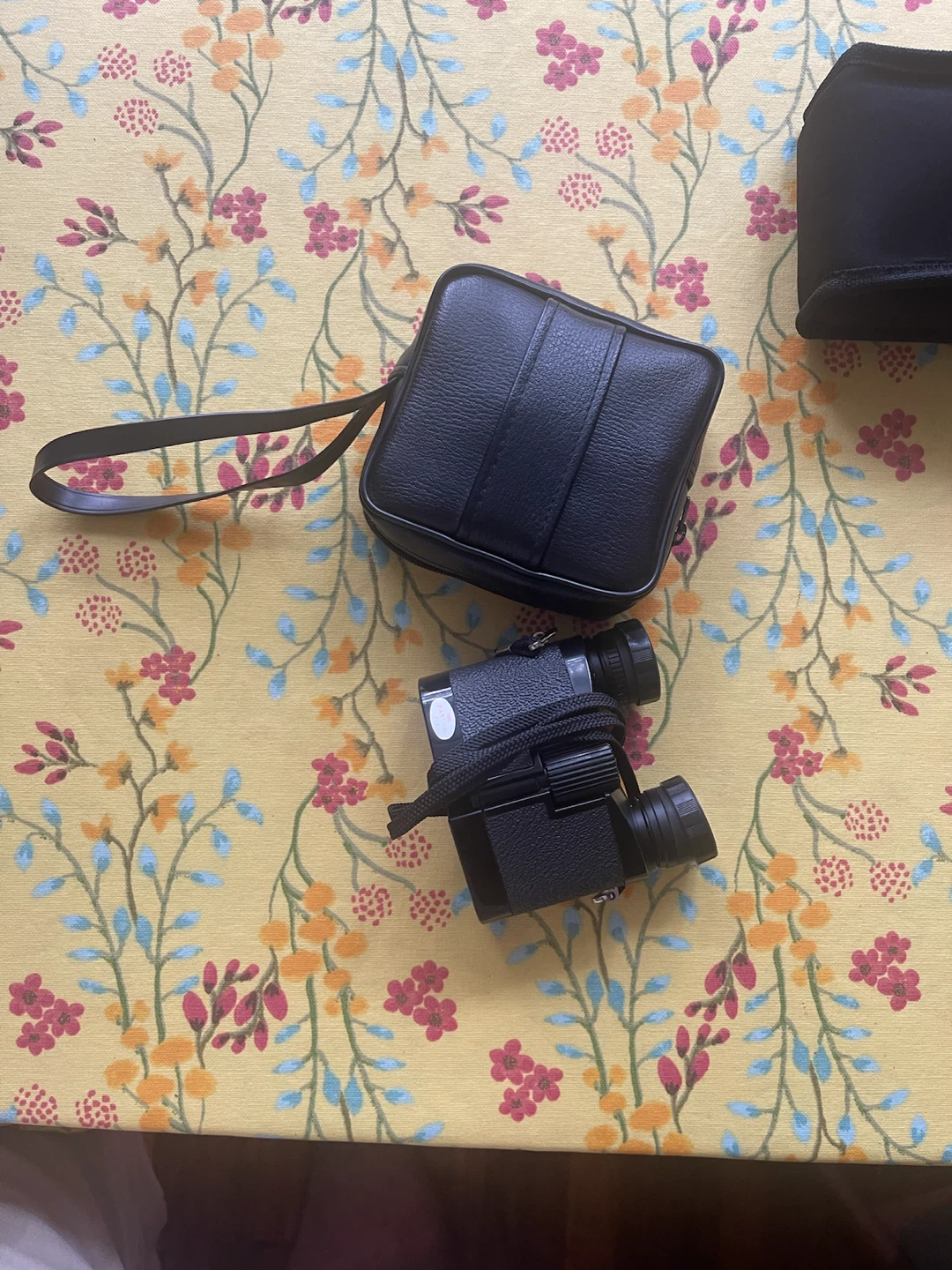 Compact Binoculars with Case