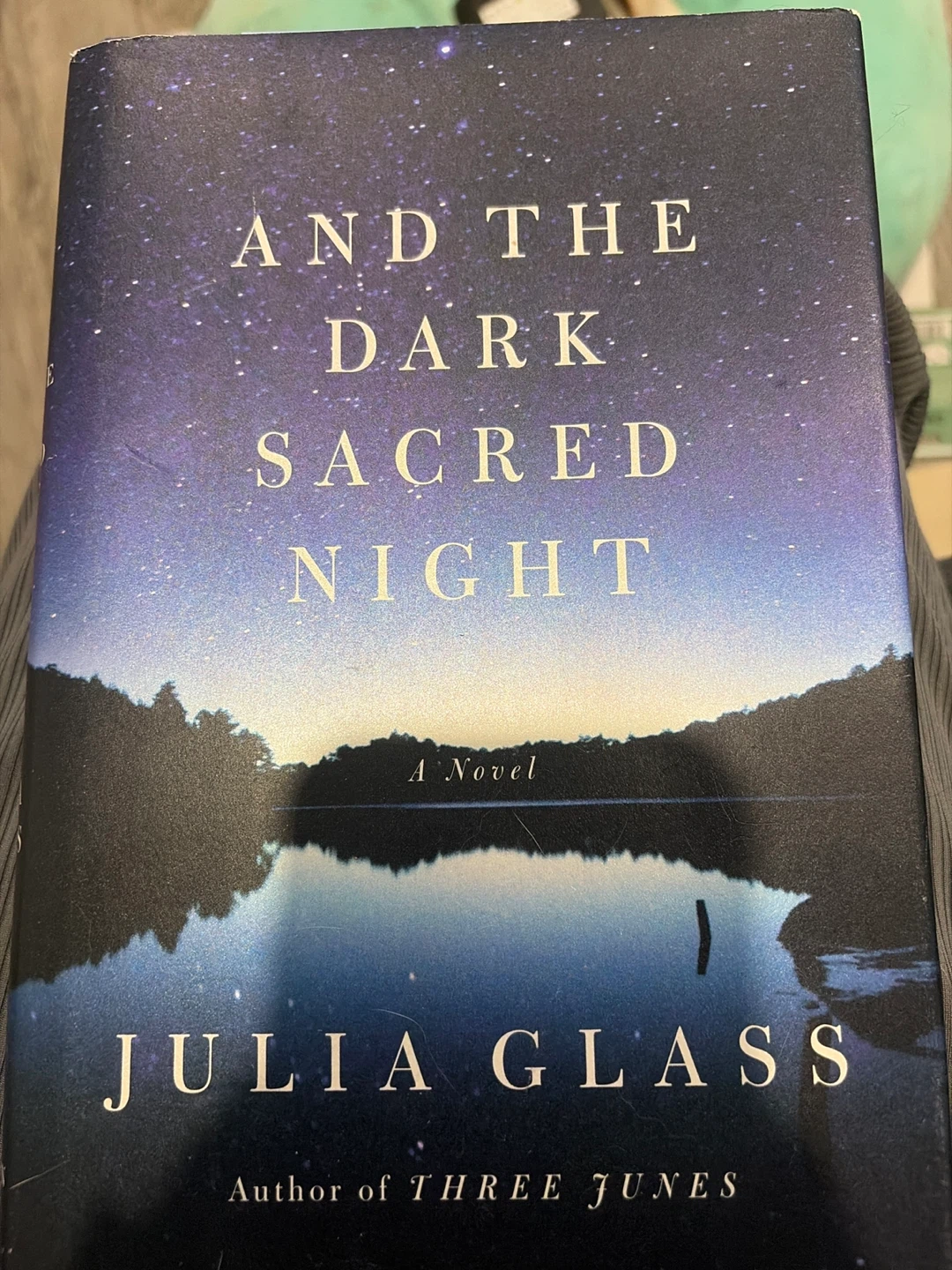 And the Dark Sacred Night by Julia Glass Novel