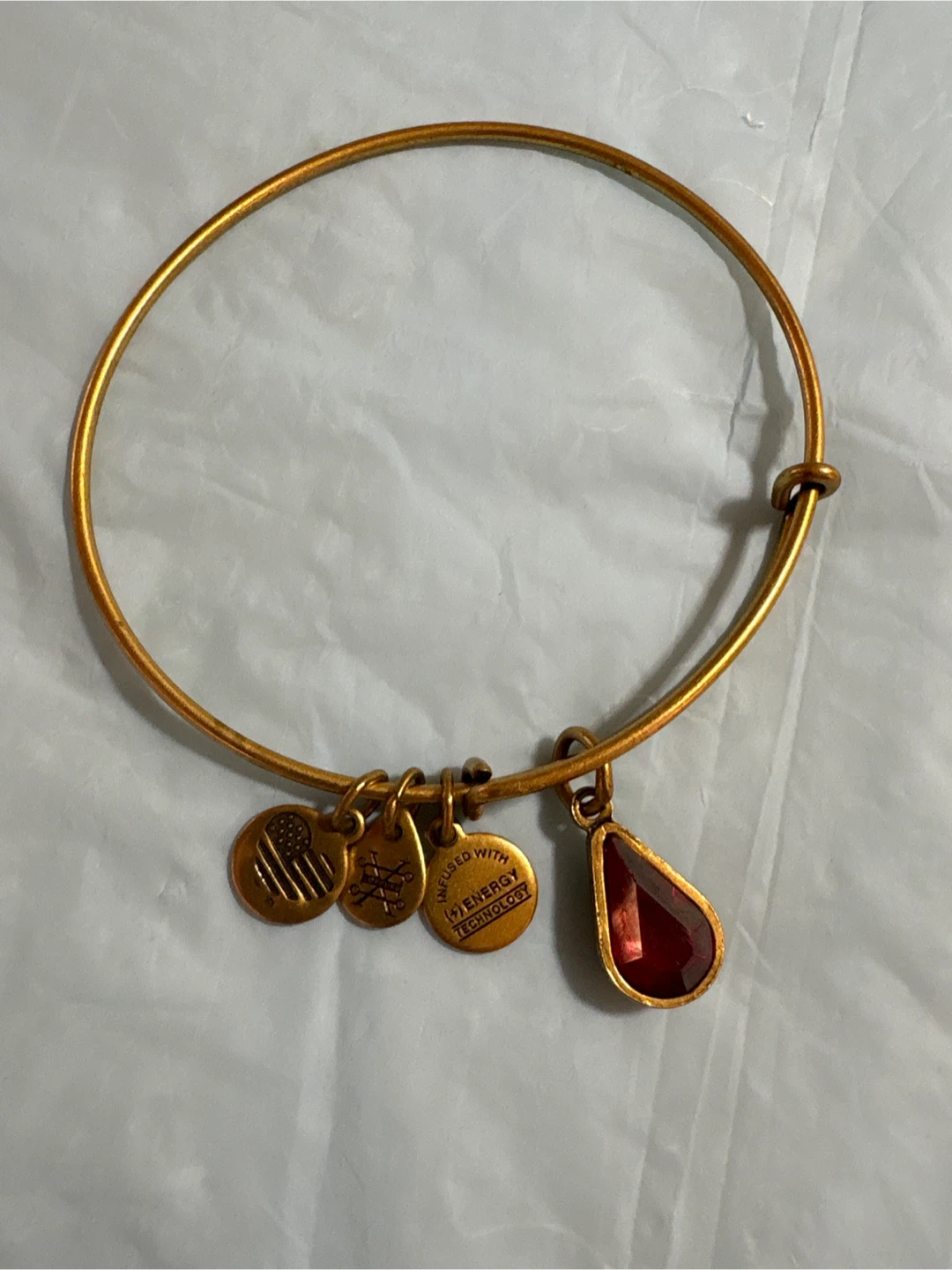 Alex and Ani Charm Bangle Bracelet