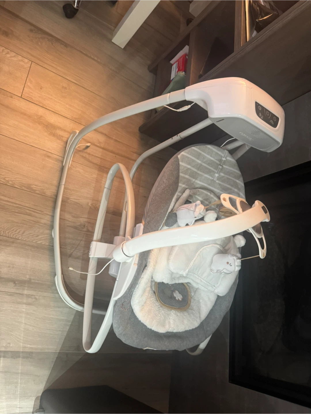 Ingenuity Baby Swing and Rocker