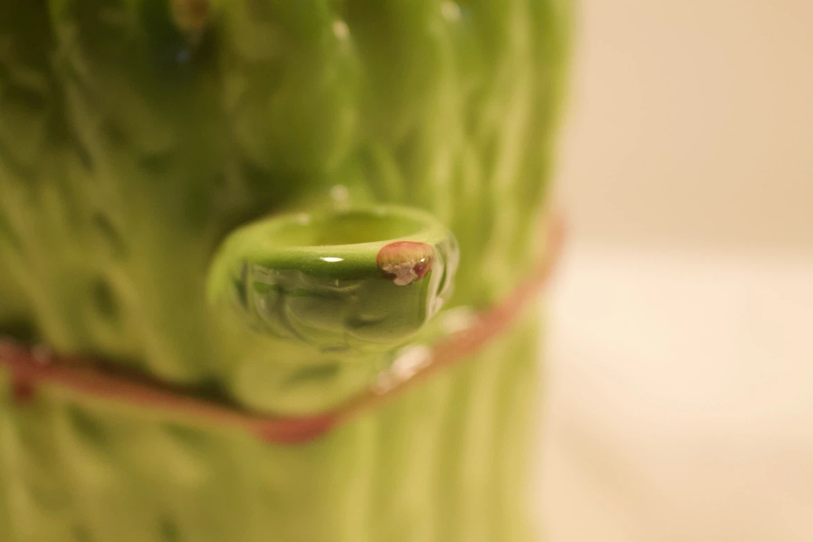 Vintage Asparagus Ceramic Pitcher with Lid - photo 5