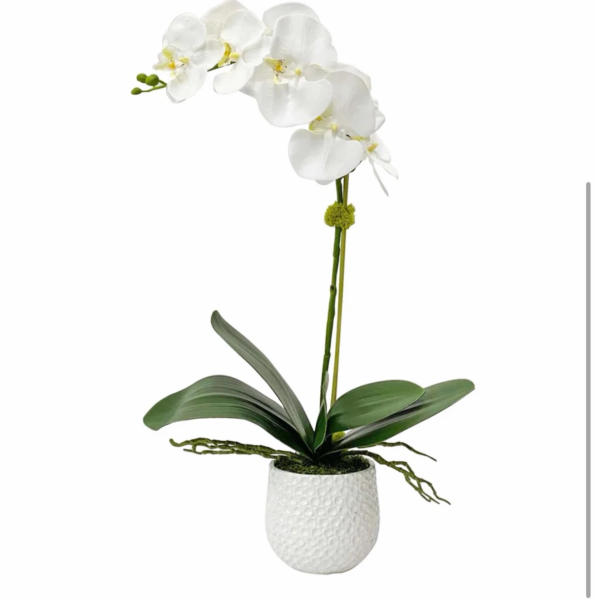 White Faux Orchid Plant in Decorative Pot