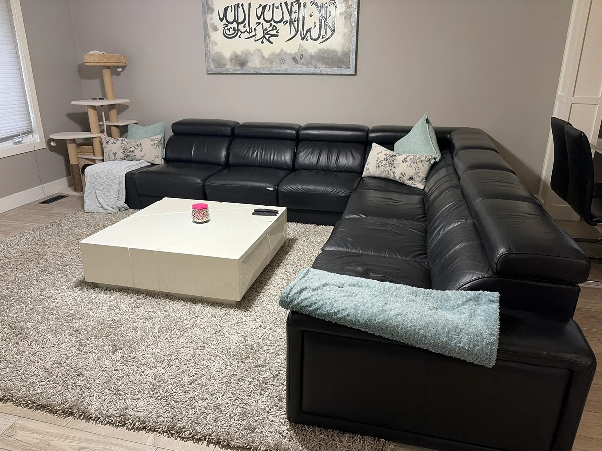 FREE-Black Leather Sectional Couch & Carpet