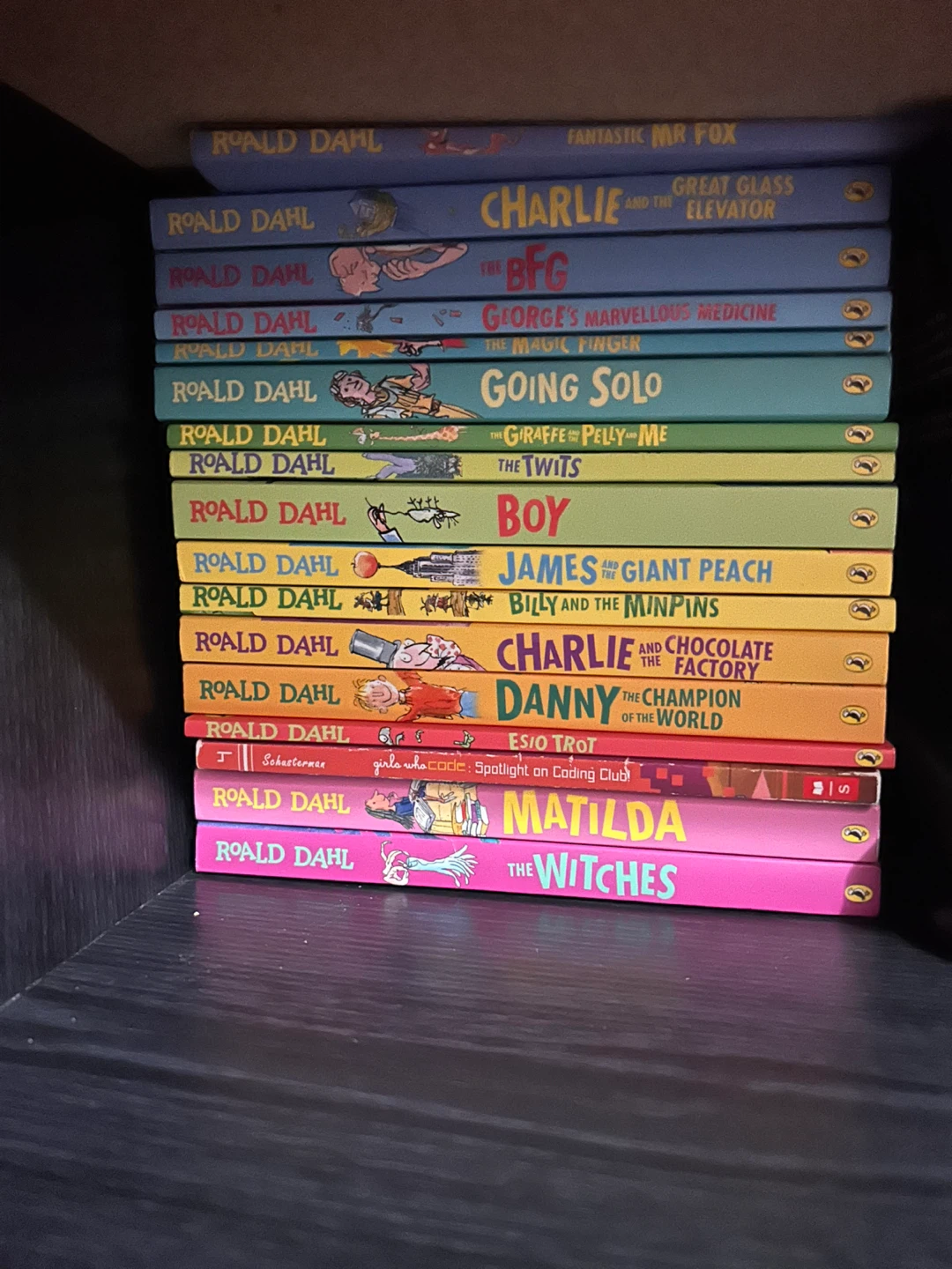 Roald Dahl Book Collection