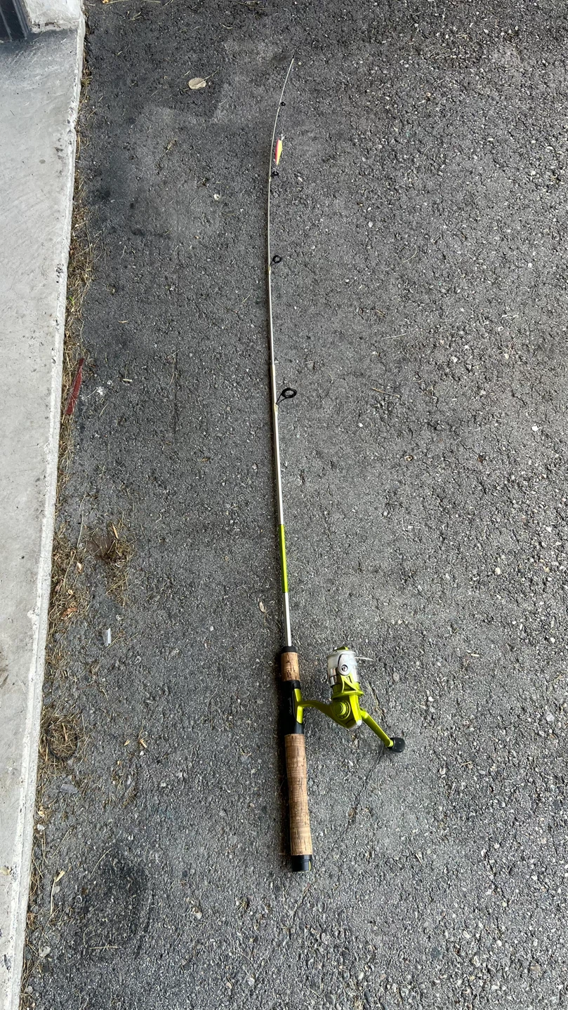 Shakespeare Fishing Rod and Reel Combo