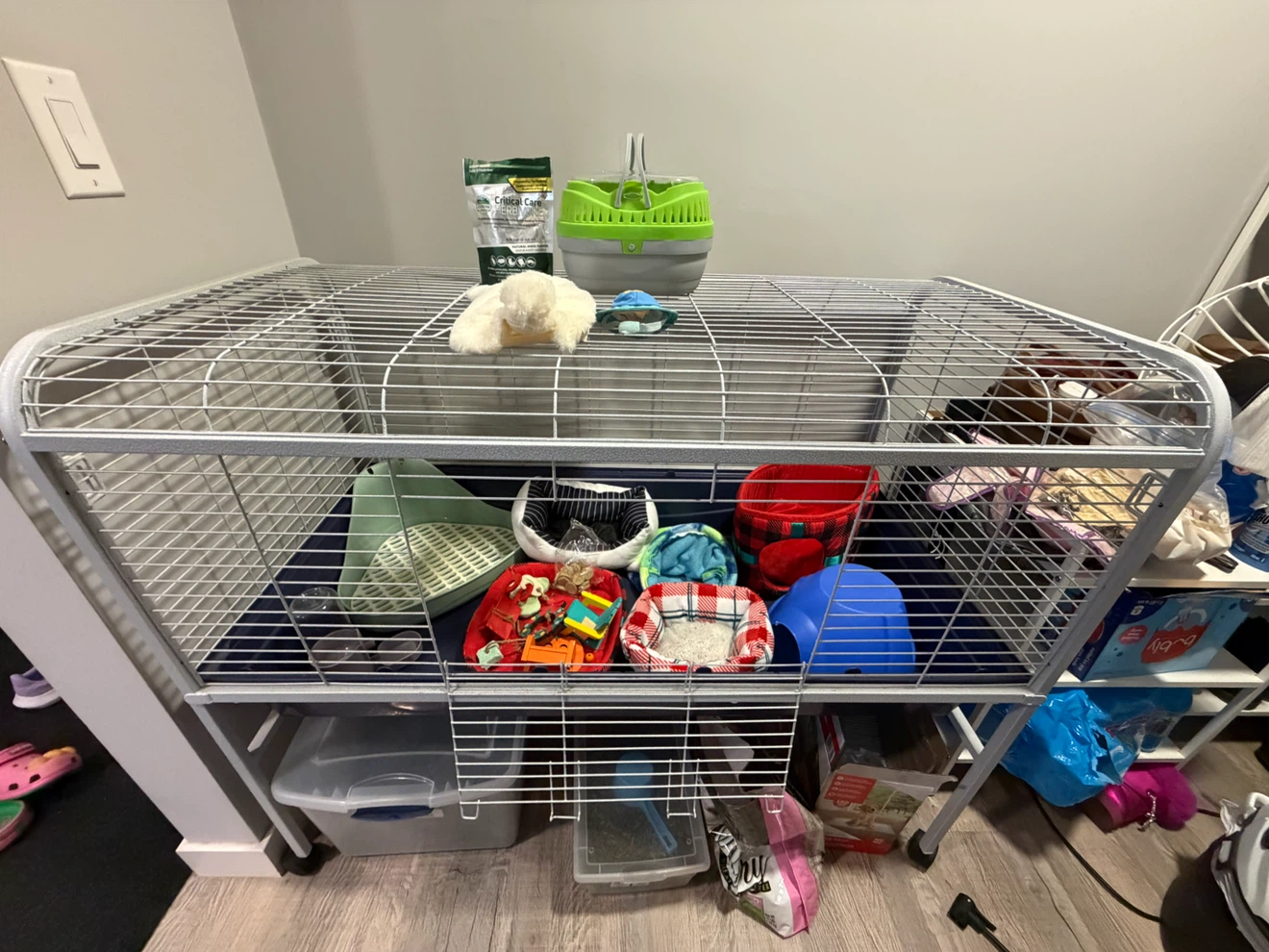 Small animal cage and supplies