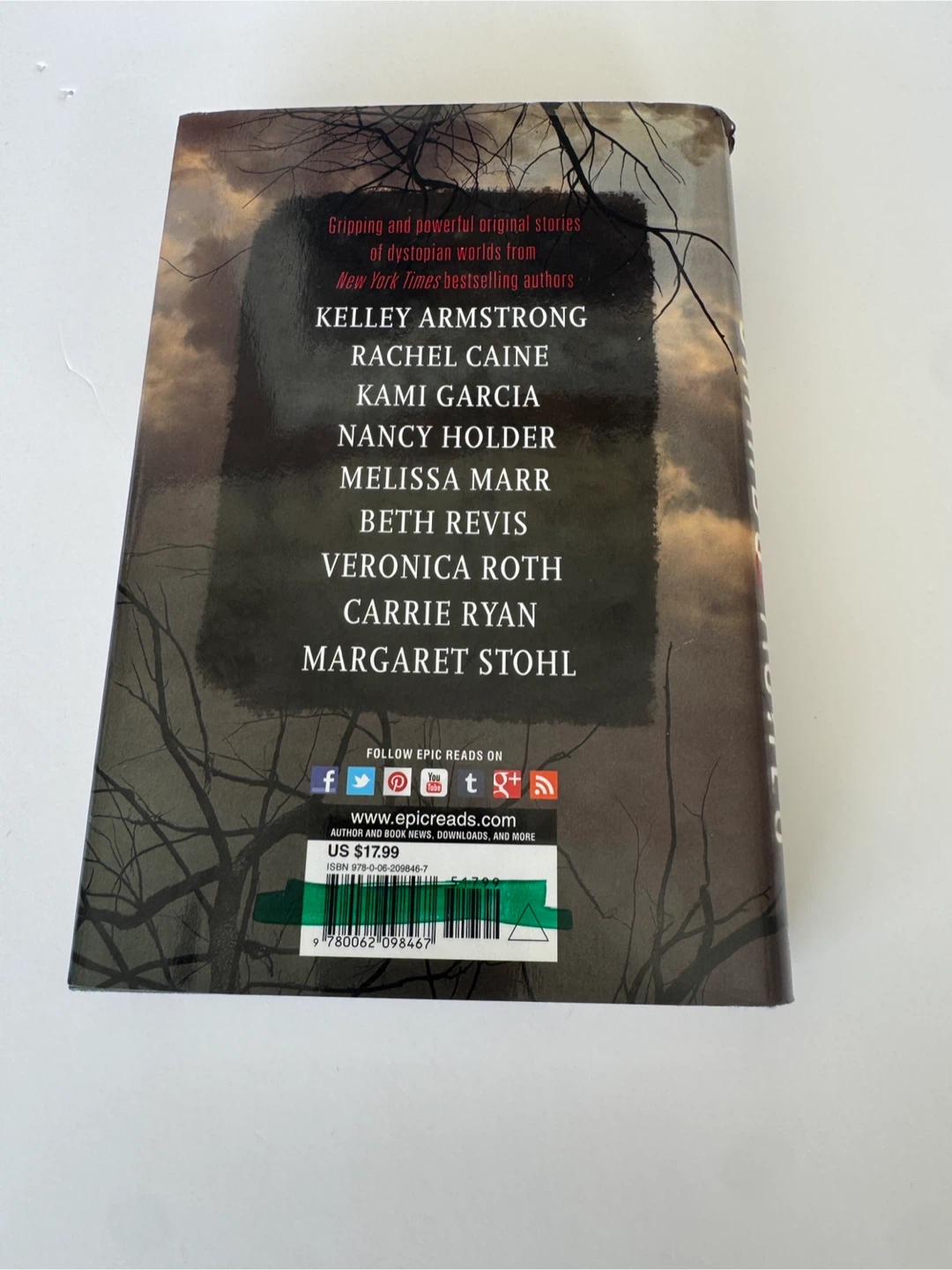 Shards and Ashes Dystopian Anthology Hardcover Book - photo 2