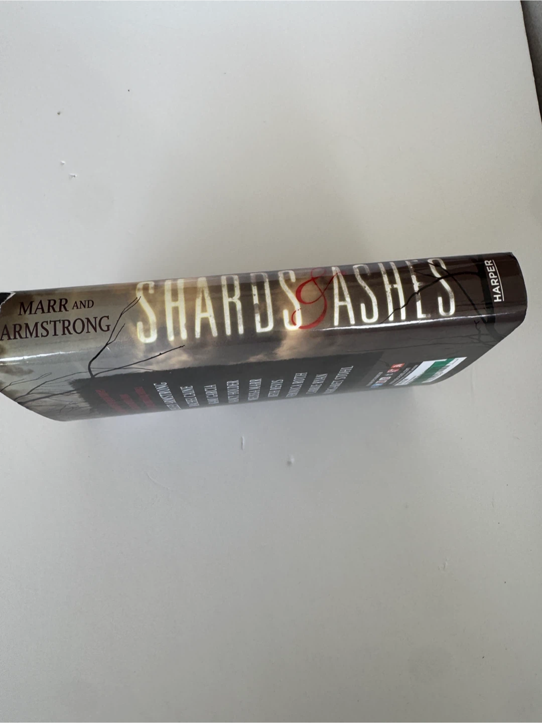 Shards and Ashes Dystopian Anthology Hardcover Book - photo 3