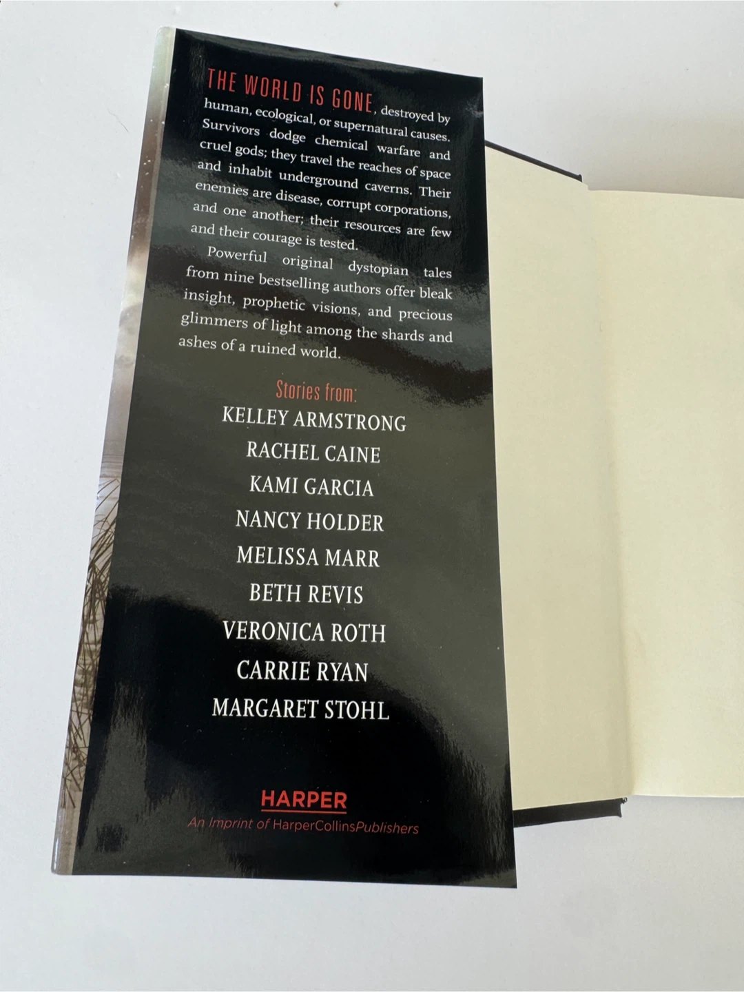 Shards and Ashes Dystopian Anthology Hardcover Book - photo 5