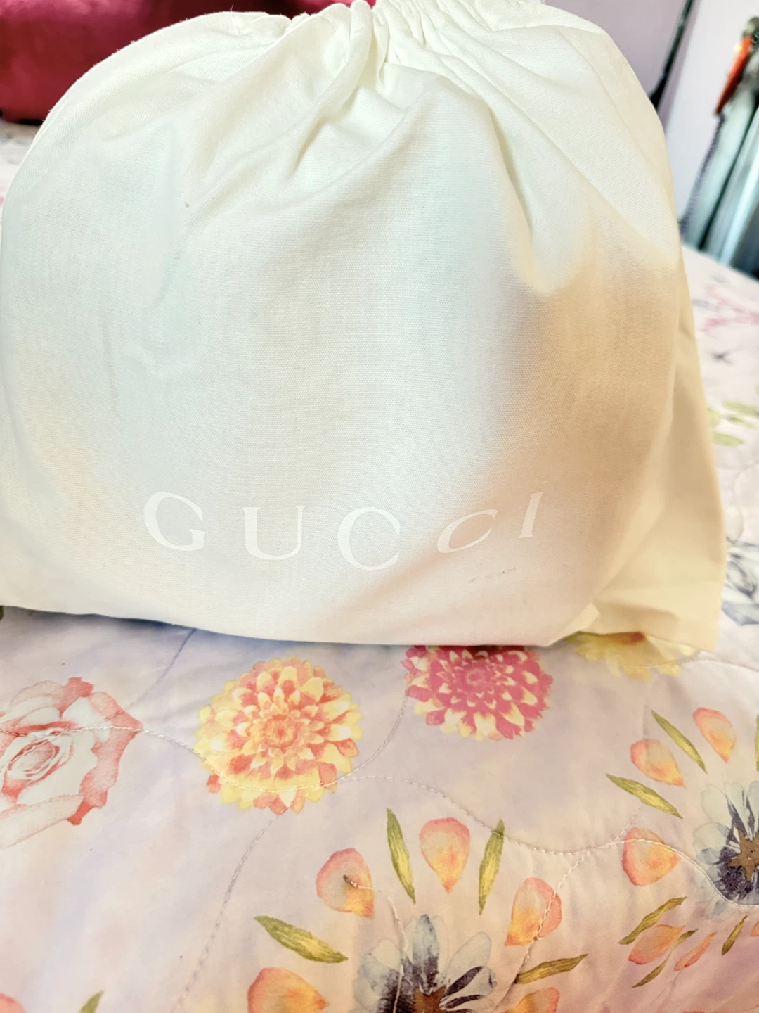 Gucci Metallic Leather Camera Bag