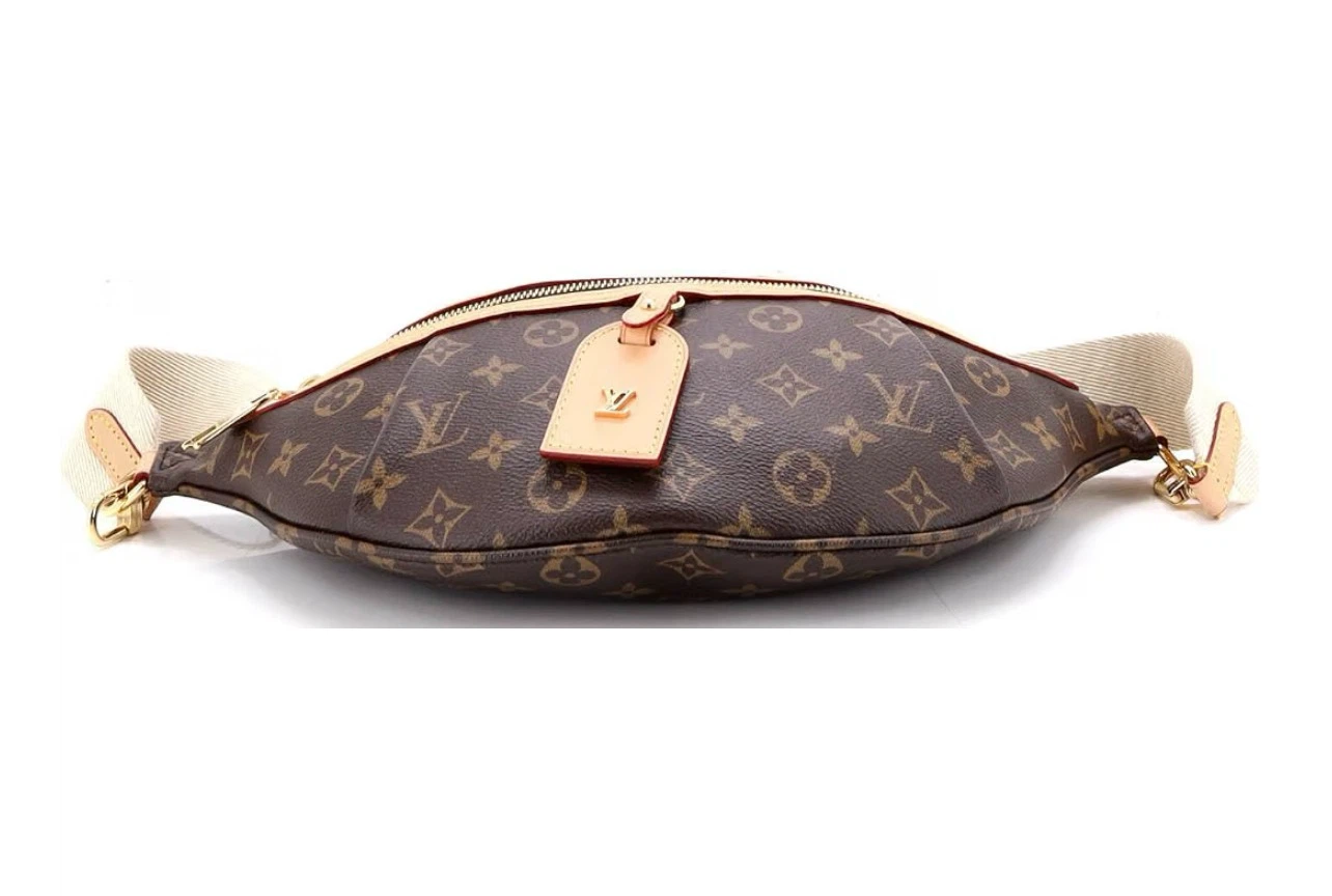 Louis Vuitton Monogram Canvas Bumbag - photo 4