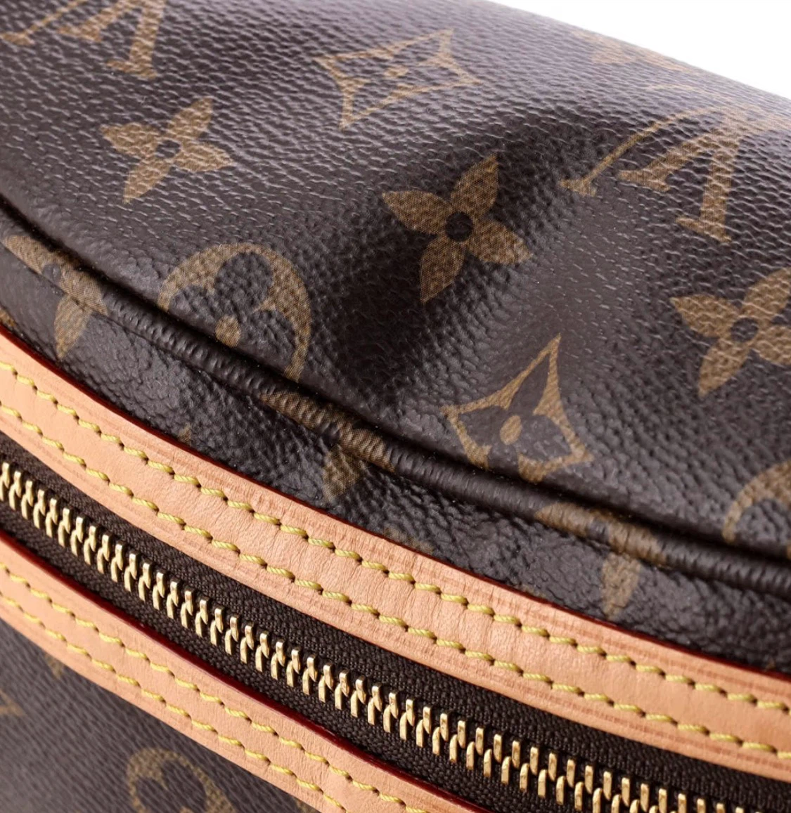 Louis Vuitton Monogram Canvas Bumbag - photo 5