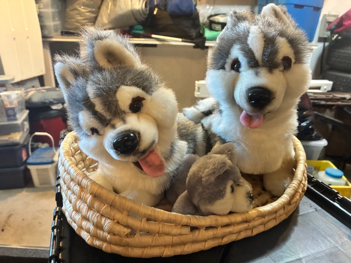 Set of 3 Husky stuffed animals with basket
