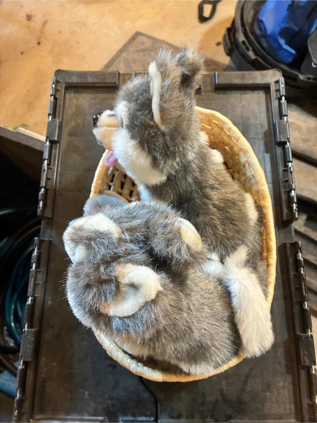 Set of 3 Husky stuffed animals with basket - photo 2