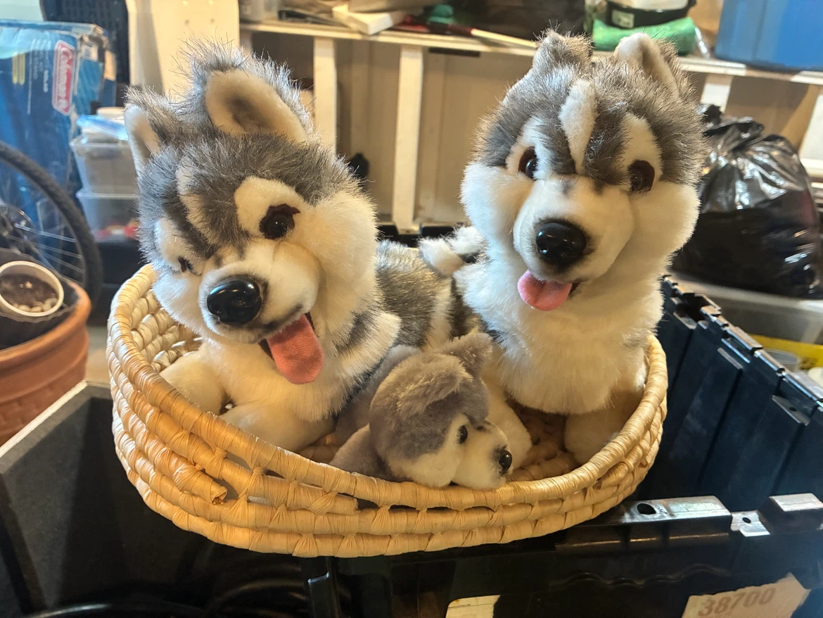 Set of 3 Husky stuffed animals with basket - photo 3