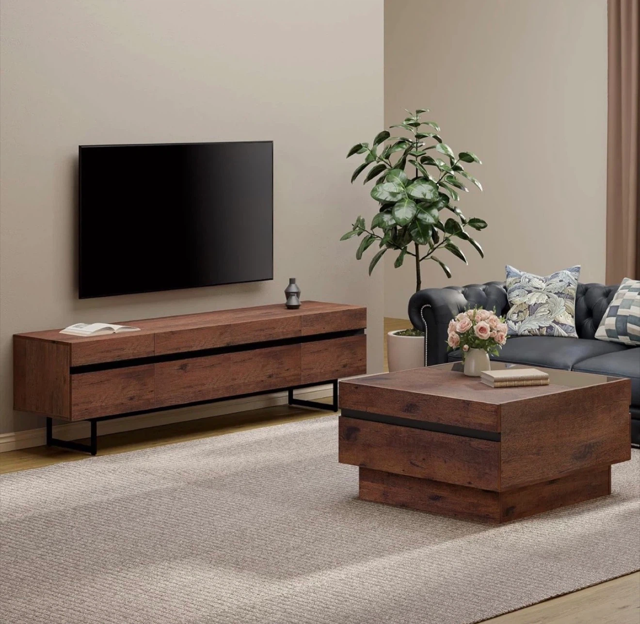 Modern Coffee Table & TV Stand