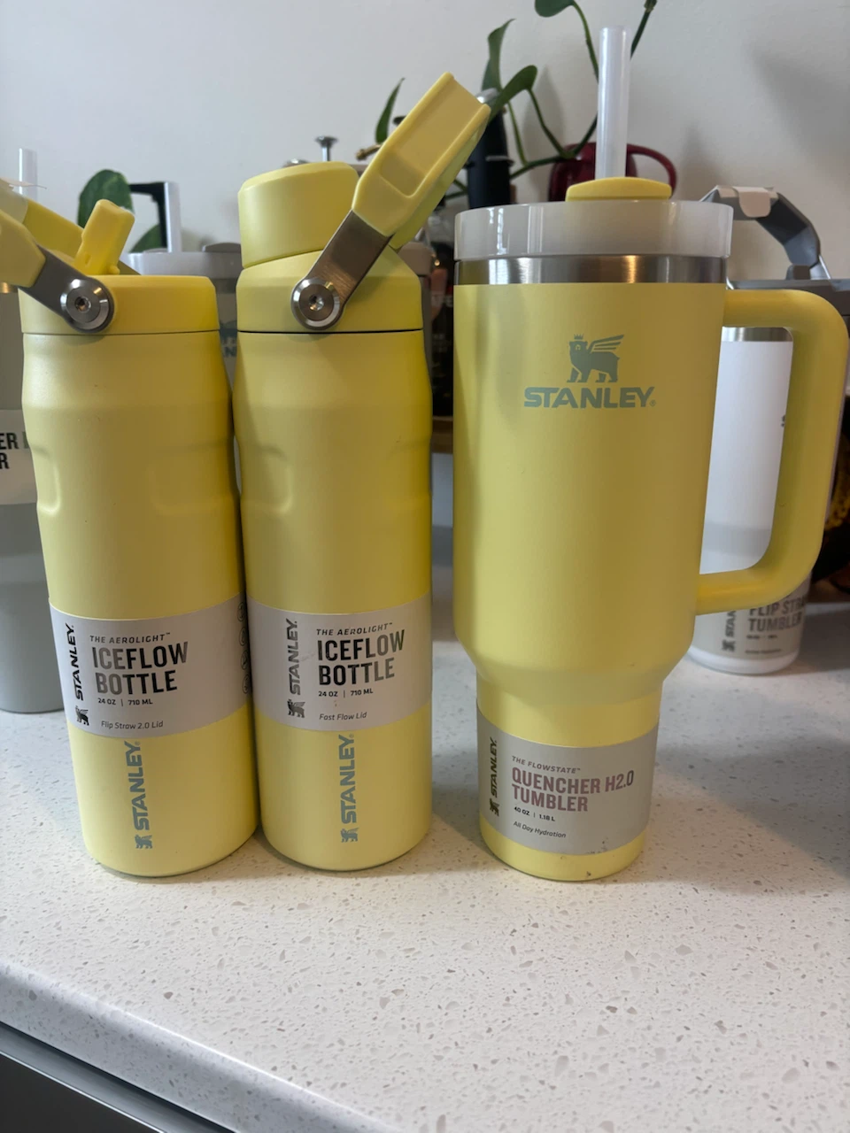 Stanley’s