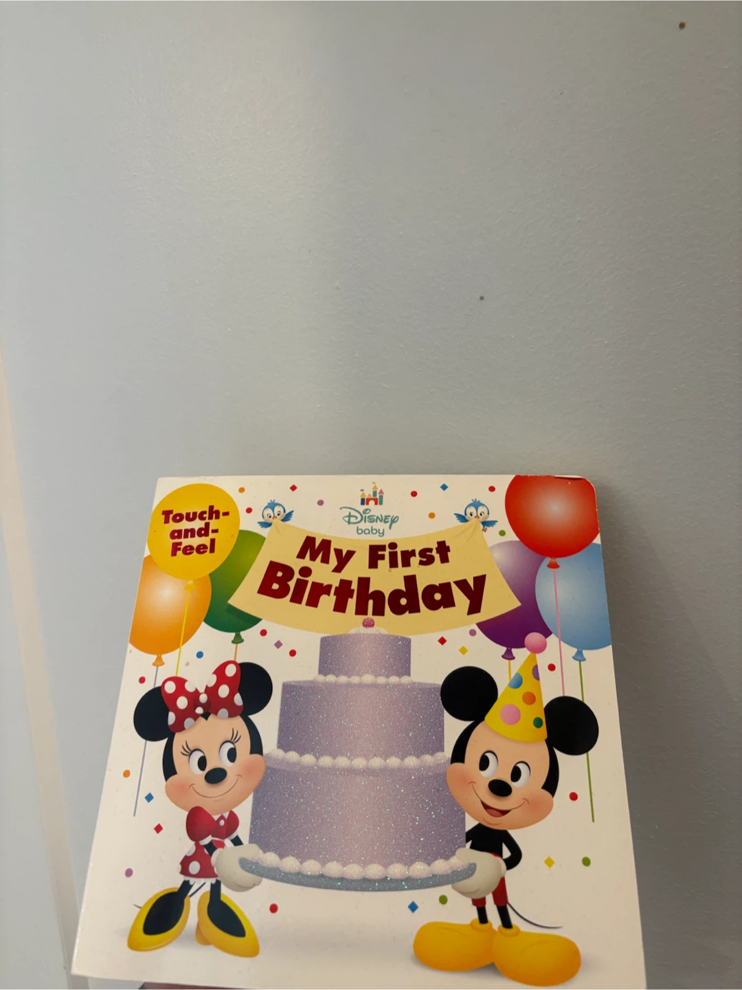 Disney Baby My First Birthday Touch and Feel Book