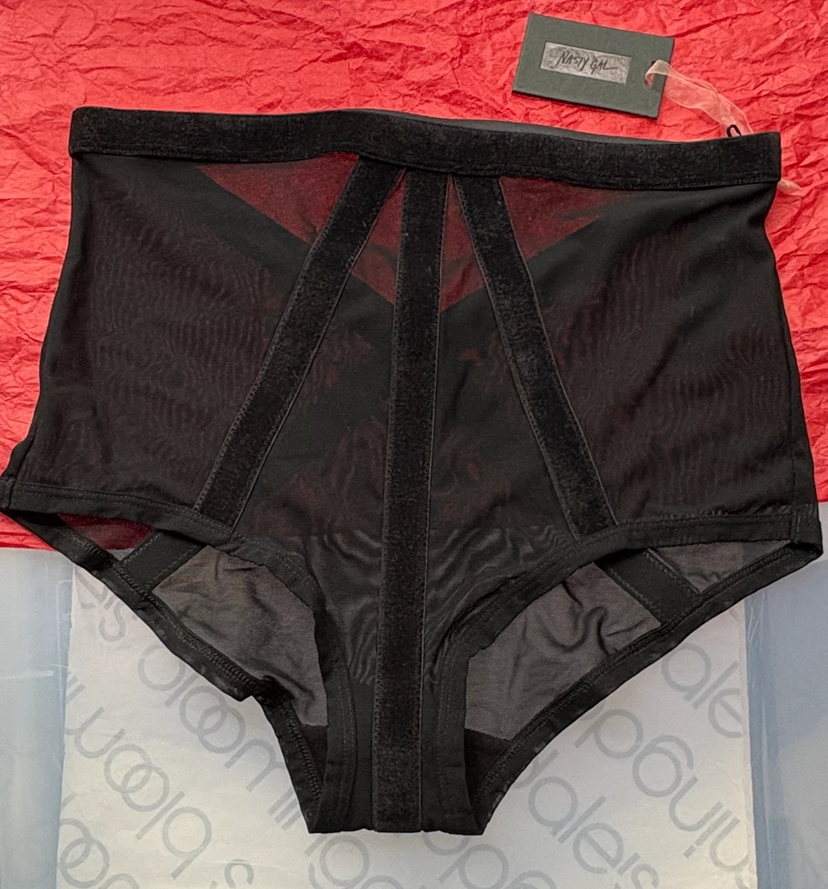 Nasty Gal Black Mesh High-Waisted Briefs