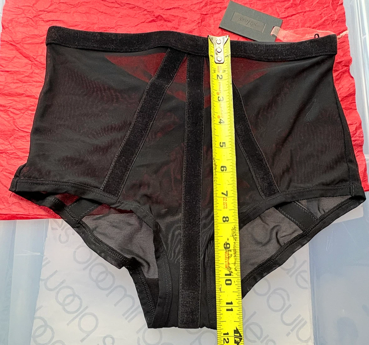 Nasty Gal Black Mesh High-Waisted Briefs - photo 2