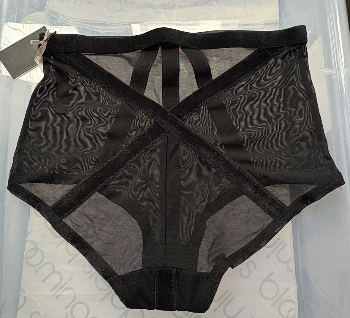 Nasty Gal Black Mesh High-Waisted Briefs - photo 5