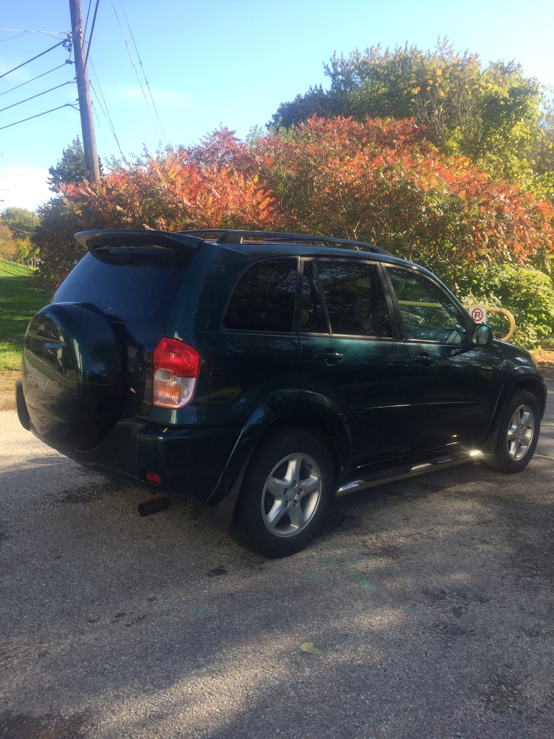 Dark Green Toyota RAV4 2003
