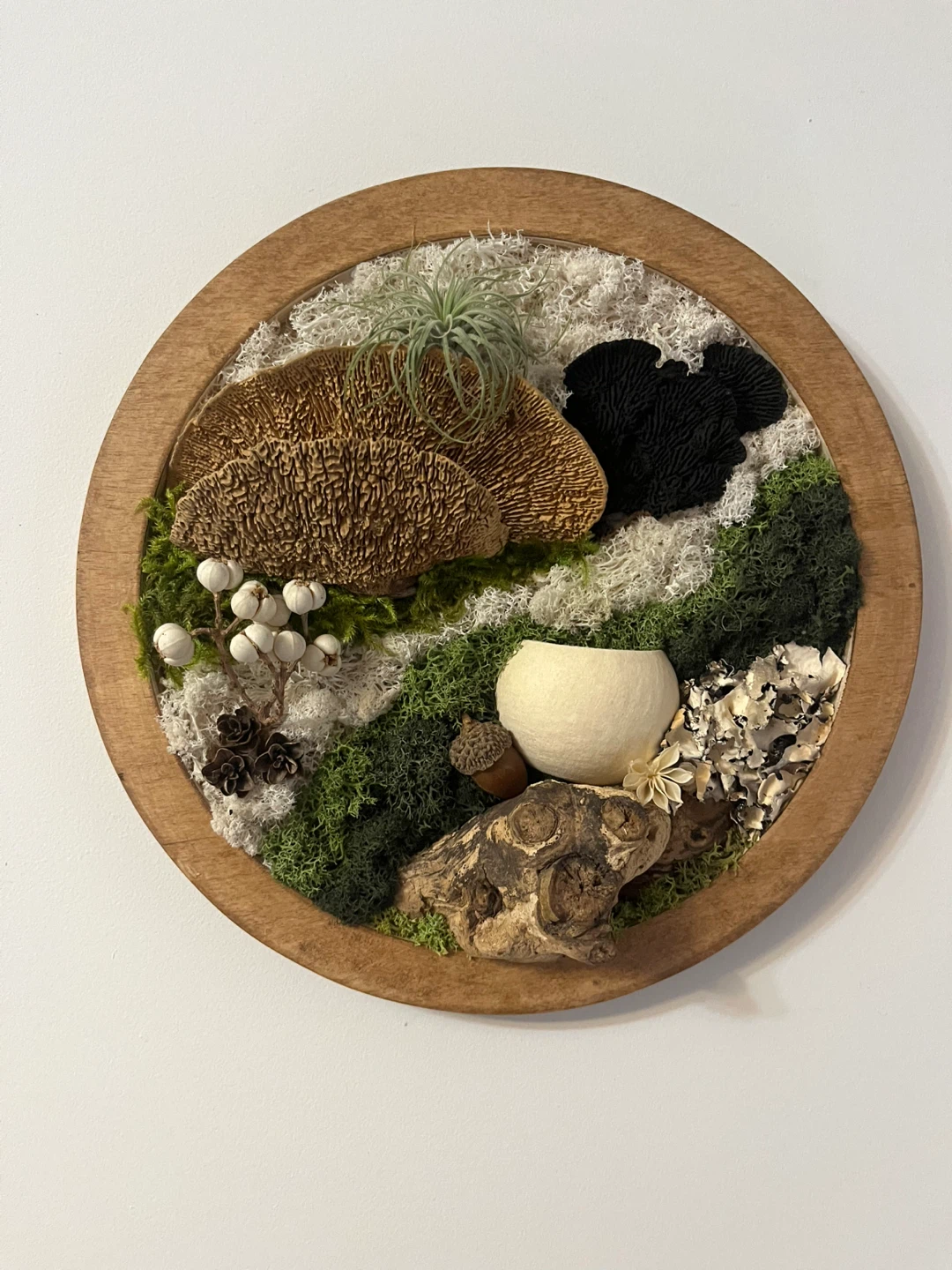 Circular Wood Framed Moss and Mushroom Wall Art