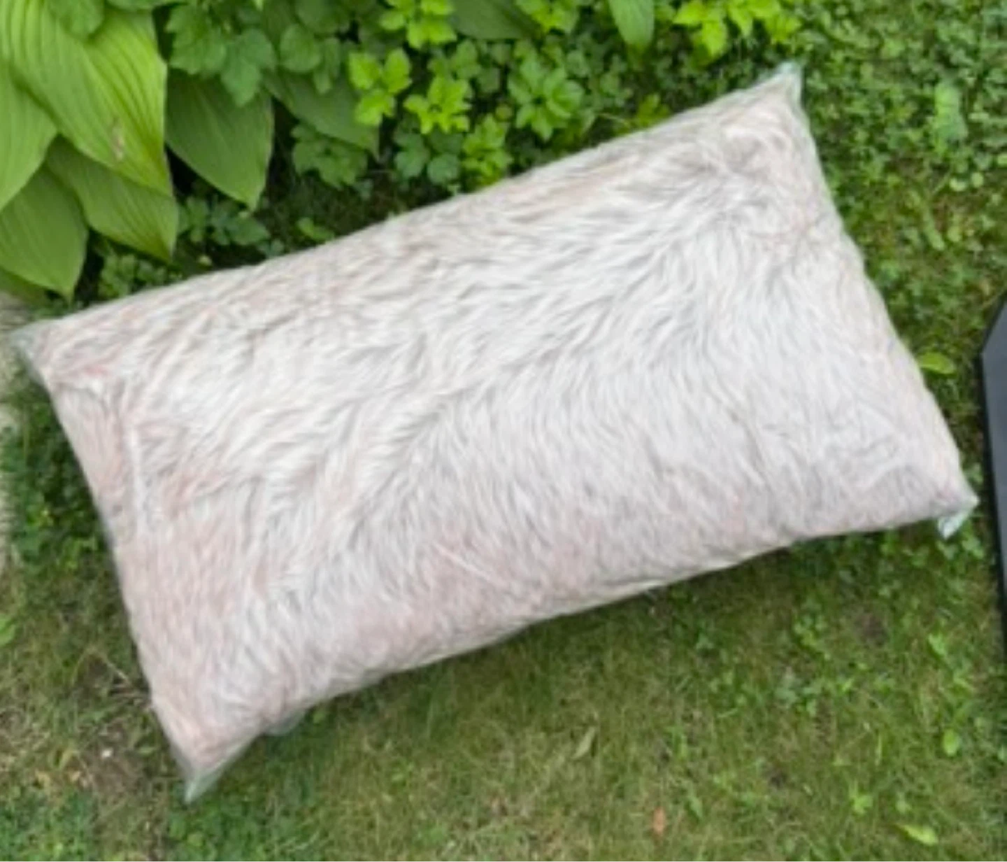 Decorative Throw Pillow