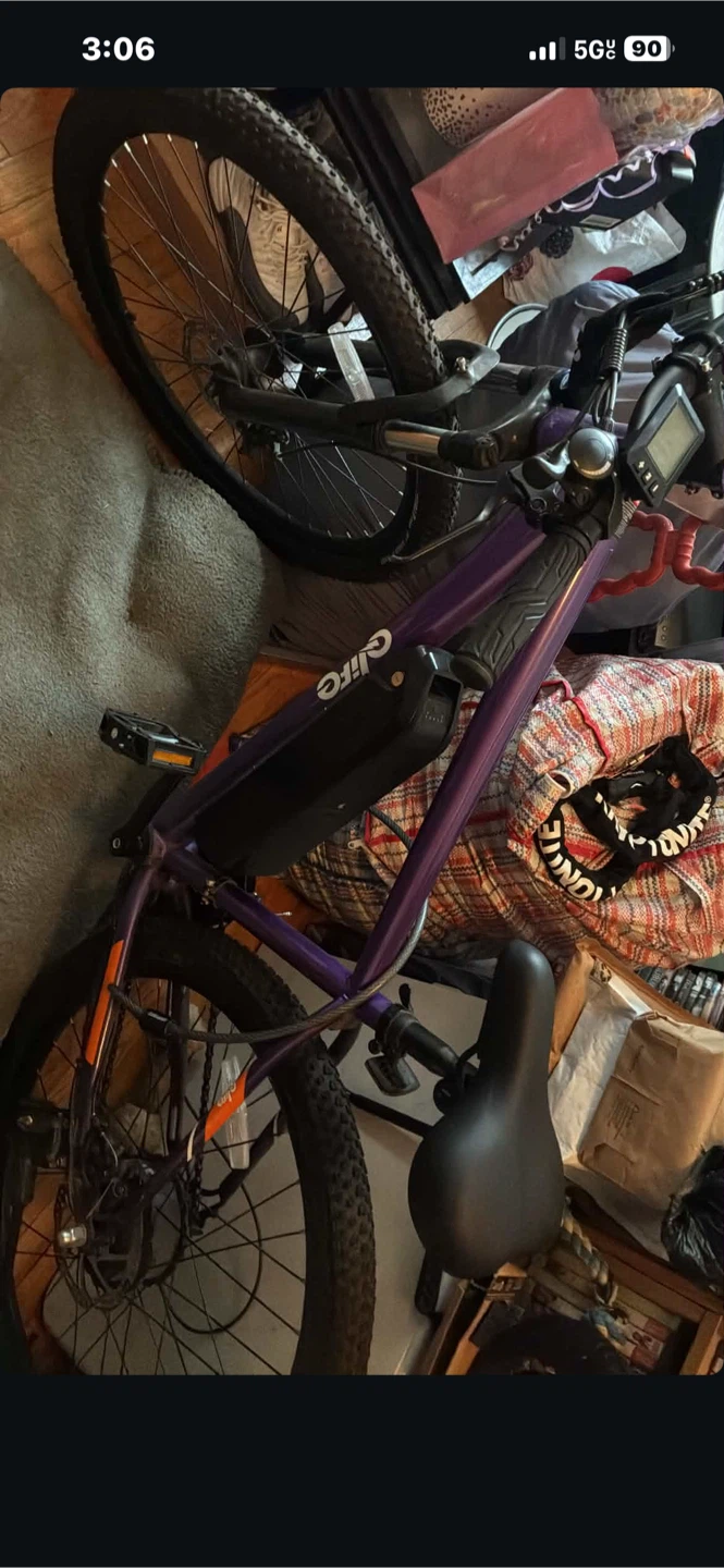 QLife Purple Electric Mountain Bike