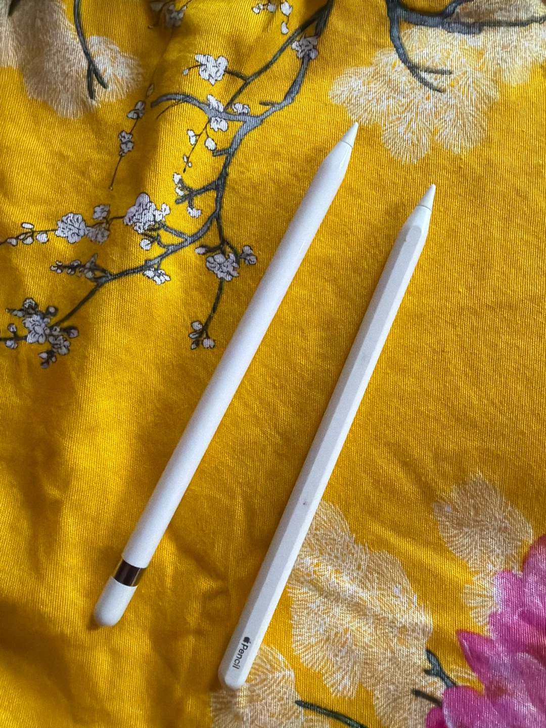 Apple Pencil (1st Gen & 2nd Gen)