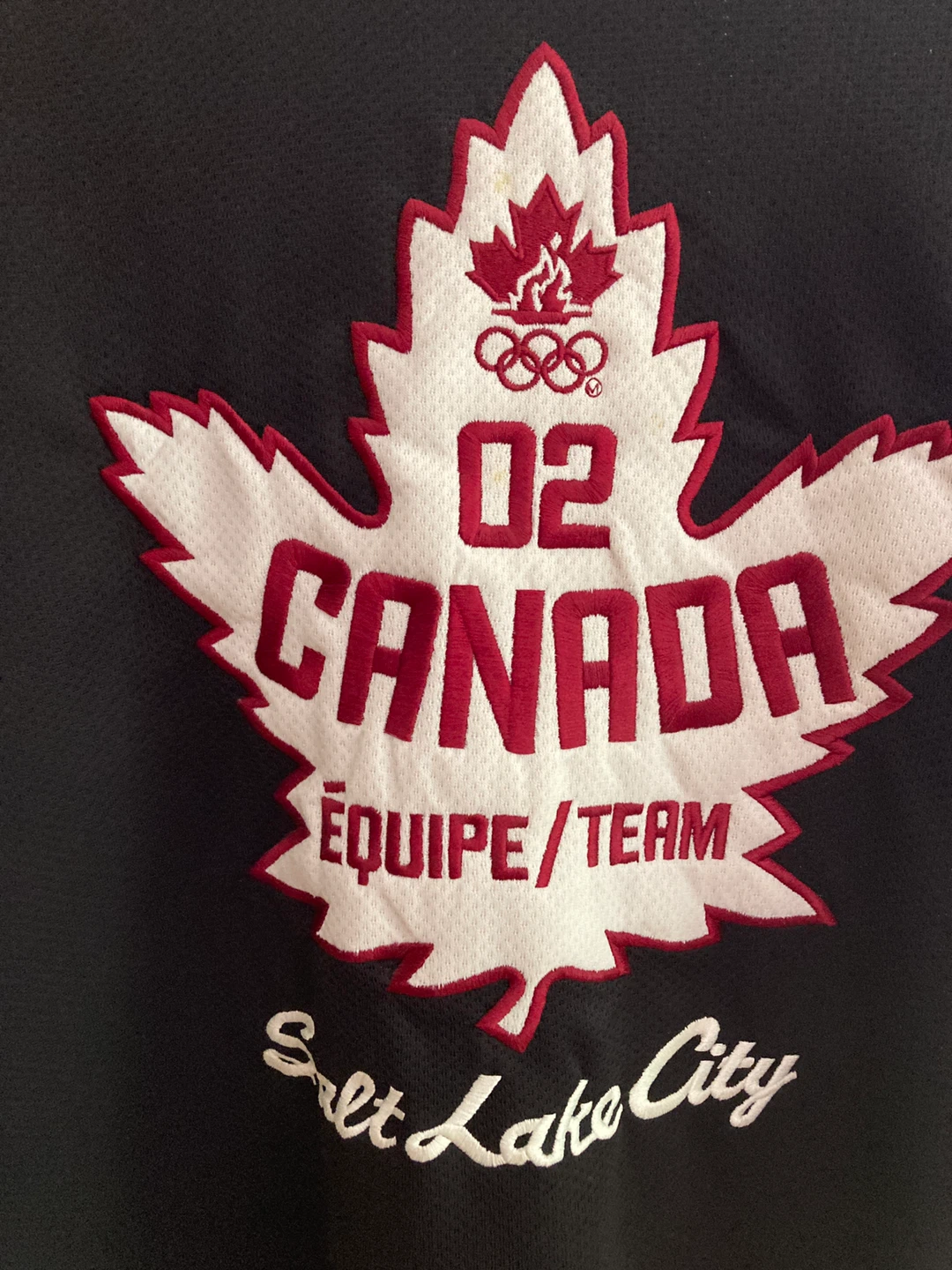 Roots Canada 2002 Olympic Team Jersey - photo 2