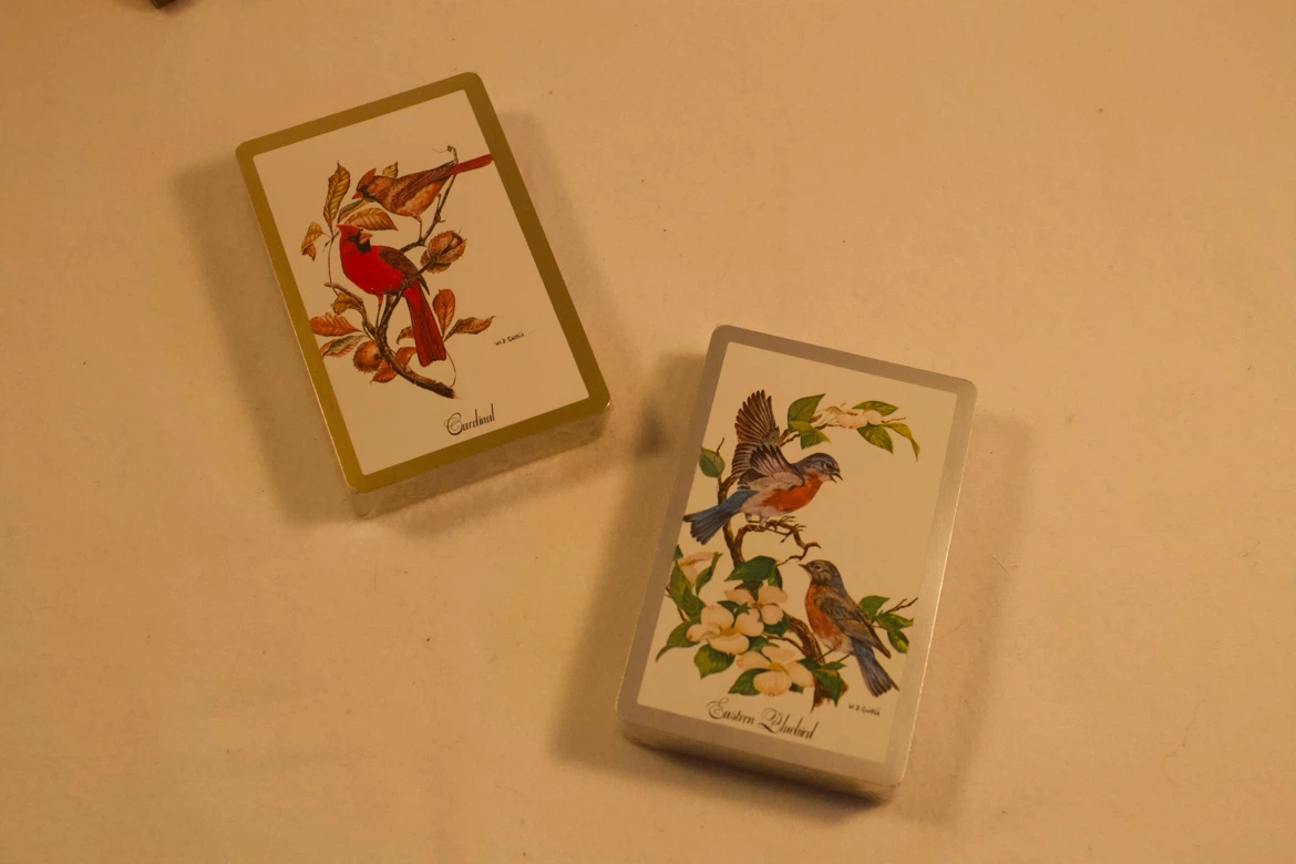 Vintage Playing Card Set Featuring Birds and rare Ephemera - photo 5