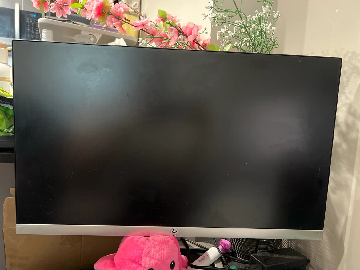 ONN & HP Computer Monitor
