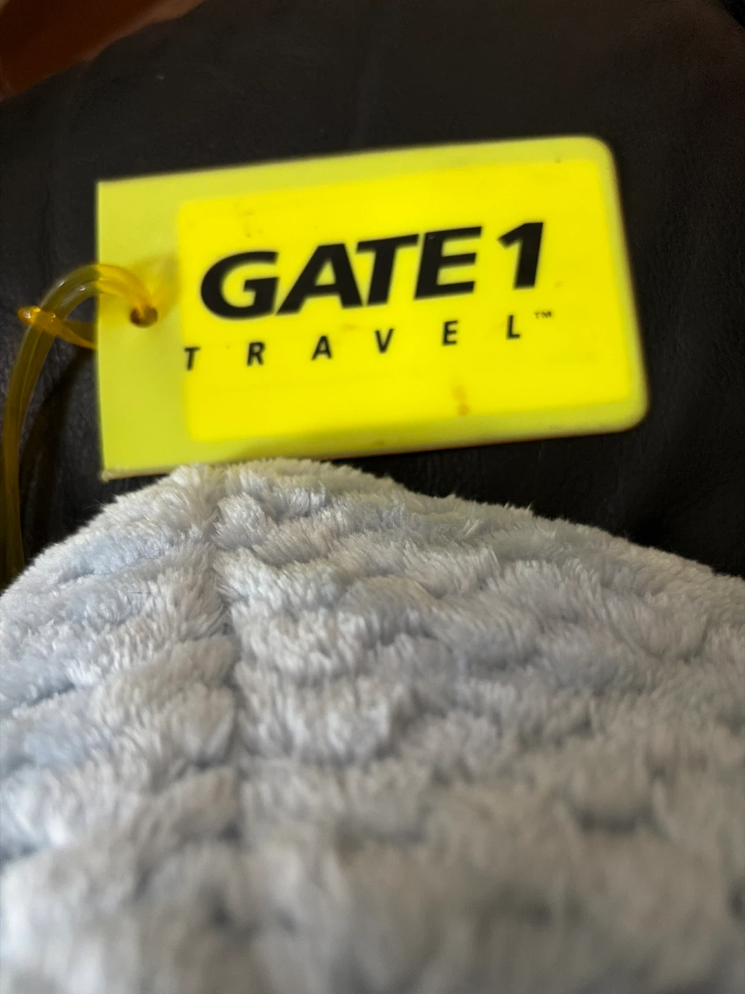 Gate 1 Travel Blue Plush Pillow