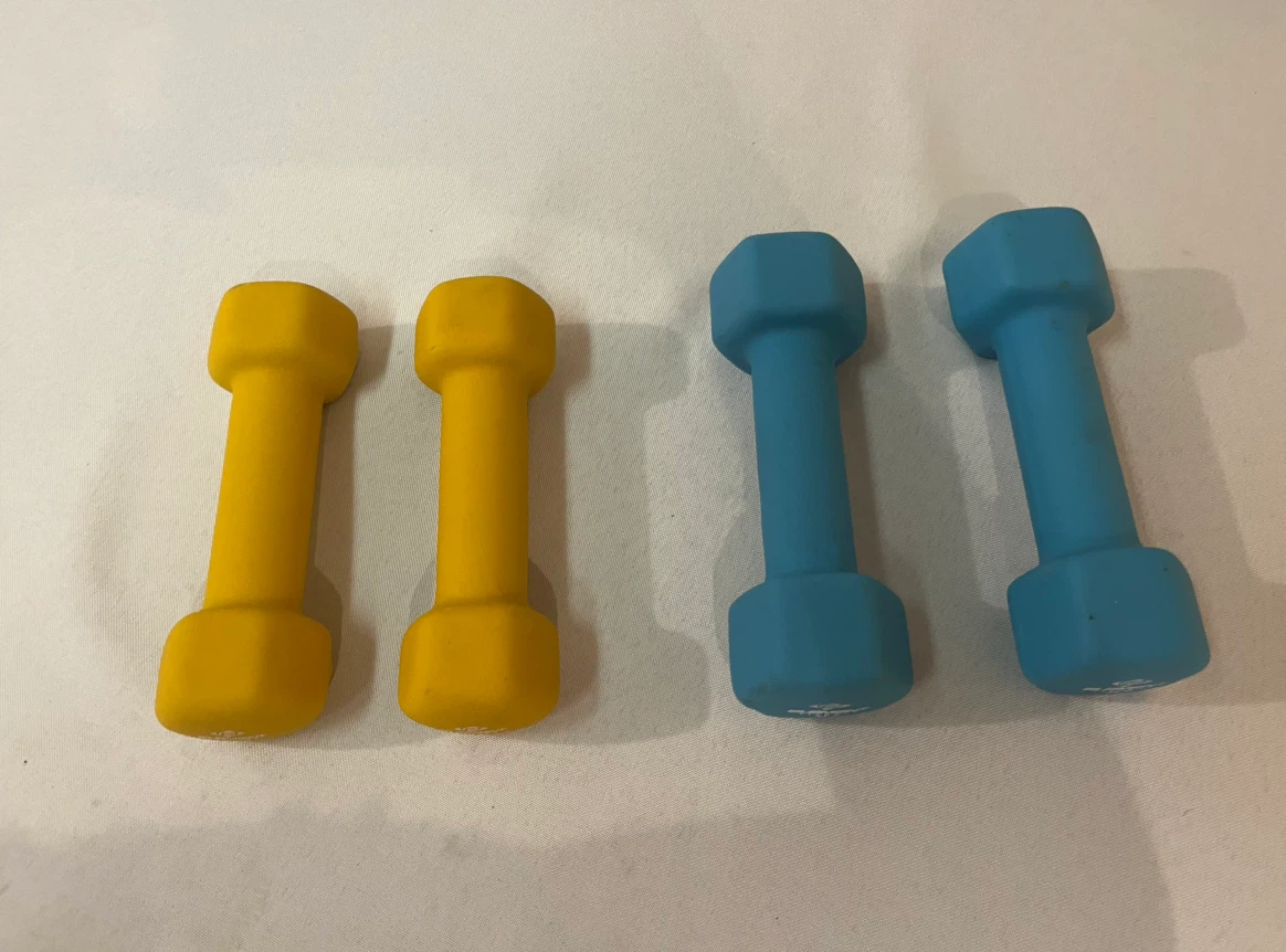 4 Small Hand Weights / Dumb Bells / 2 and 3 pound sizes