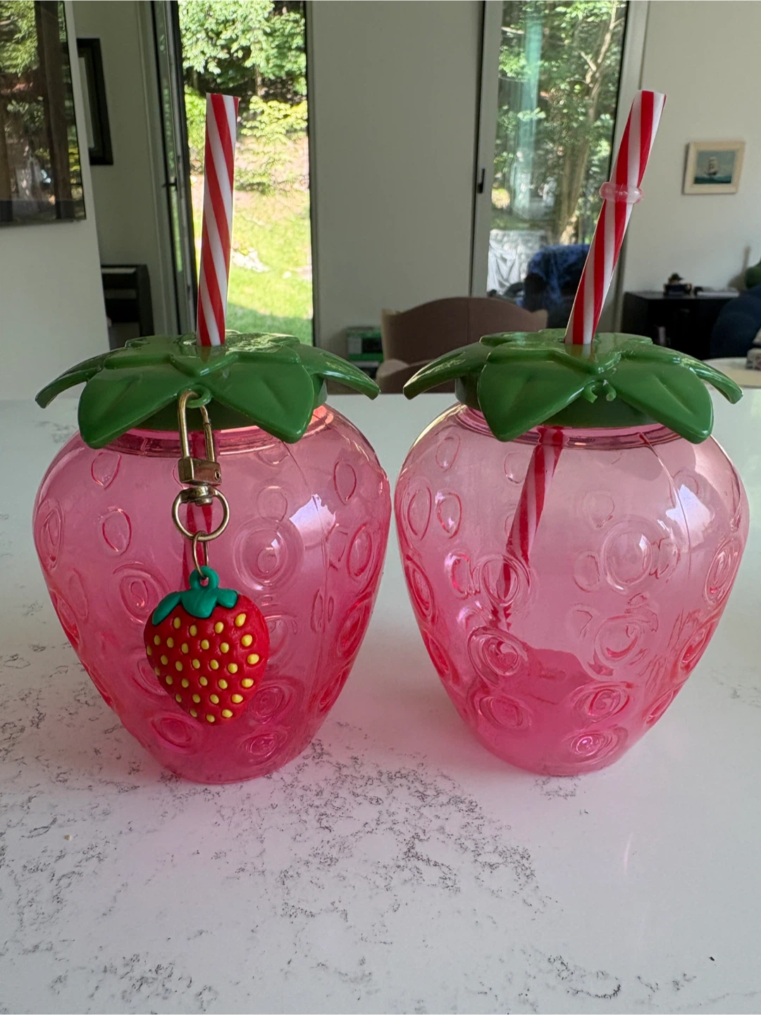 Strawberry Tumblers with Straws (Set of 2)